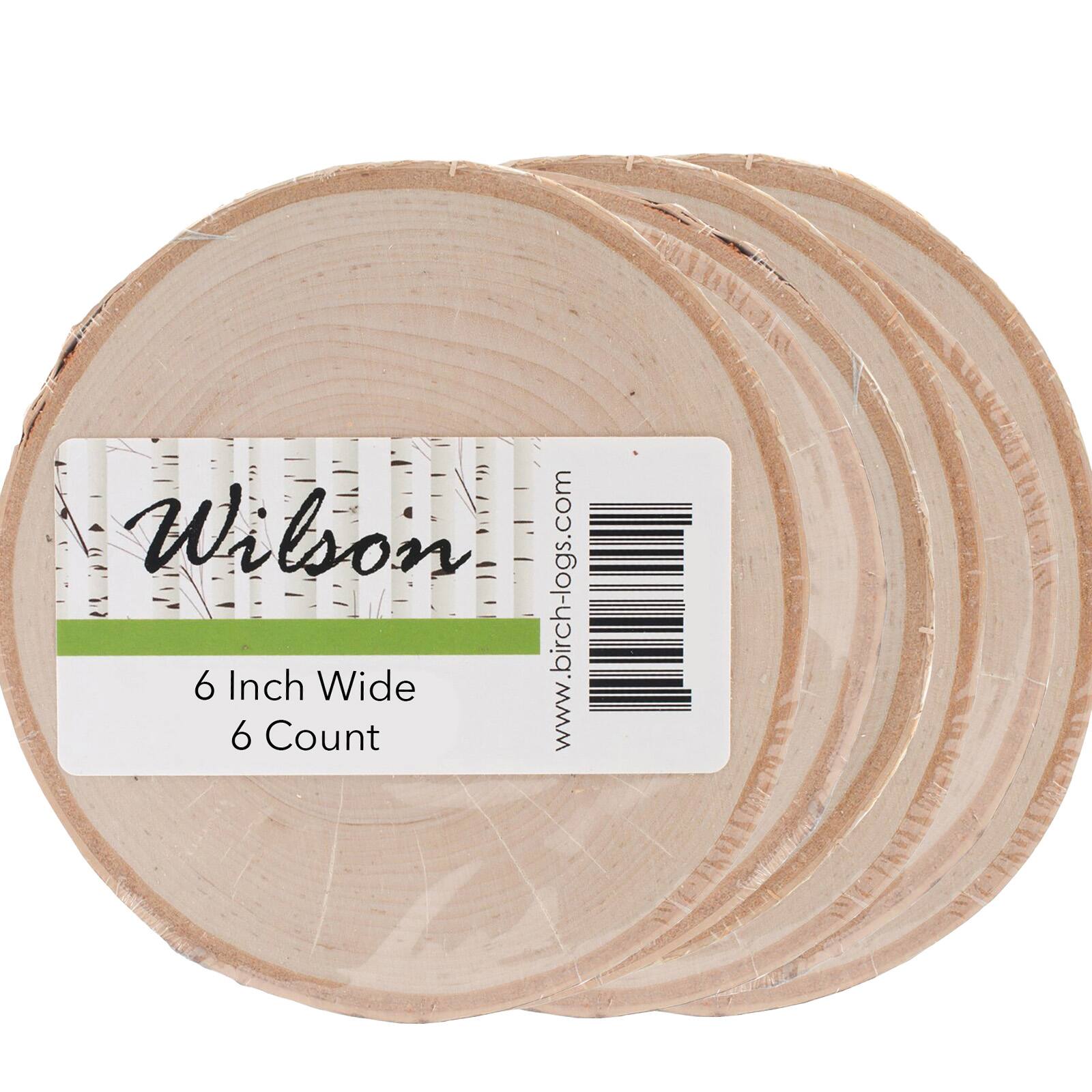Wilson® Enterprises 6" Birch Rounds, 6ct.