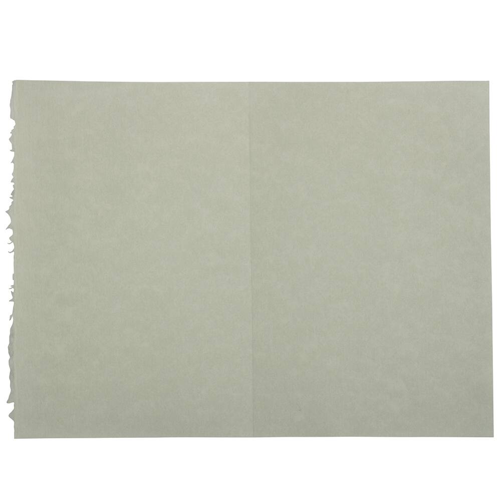 JAM Paper 3.5" x 4.875" Blank Foldover Cards, 500ct.