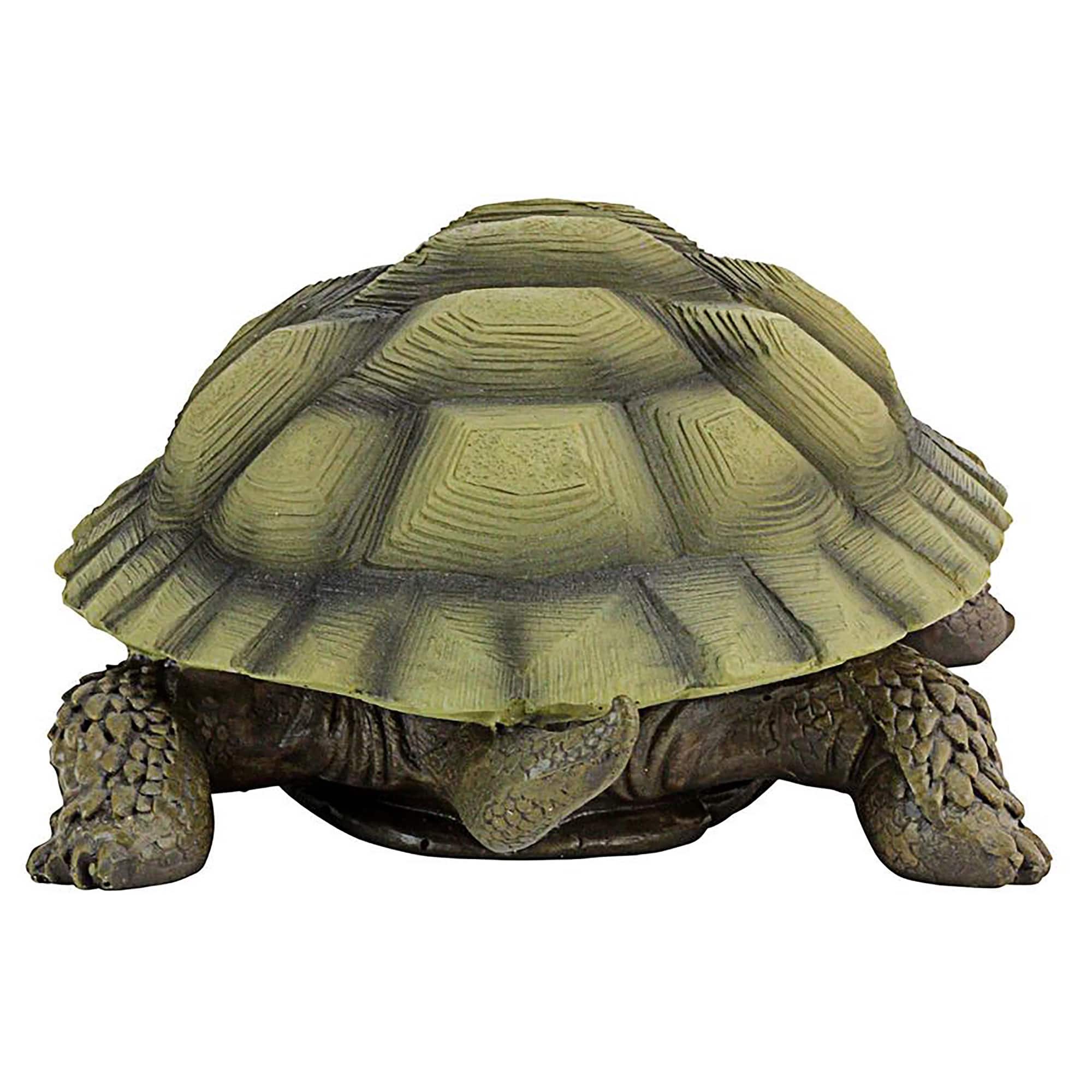 Design Toscano 3&#x22; Gilbert the Box Turtle Statues, 2ct.