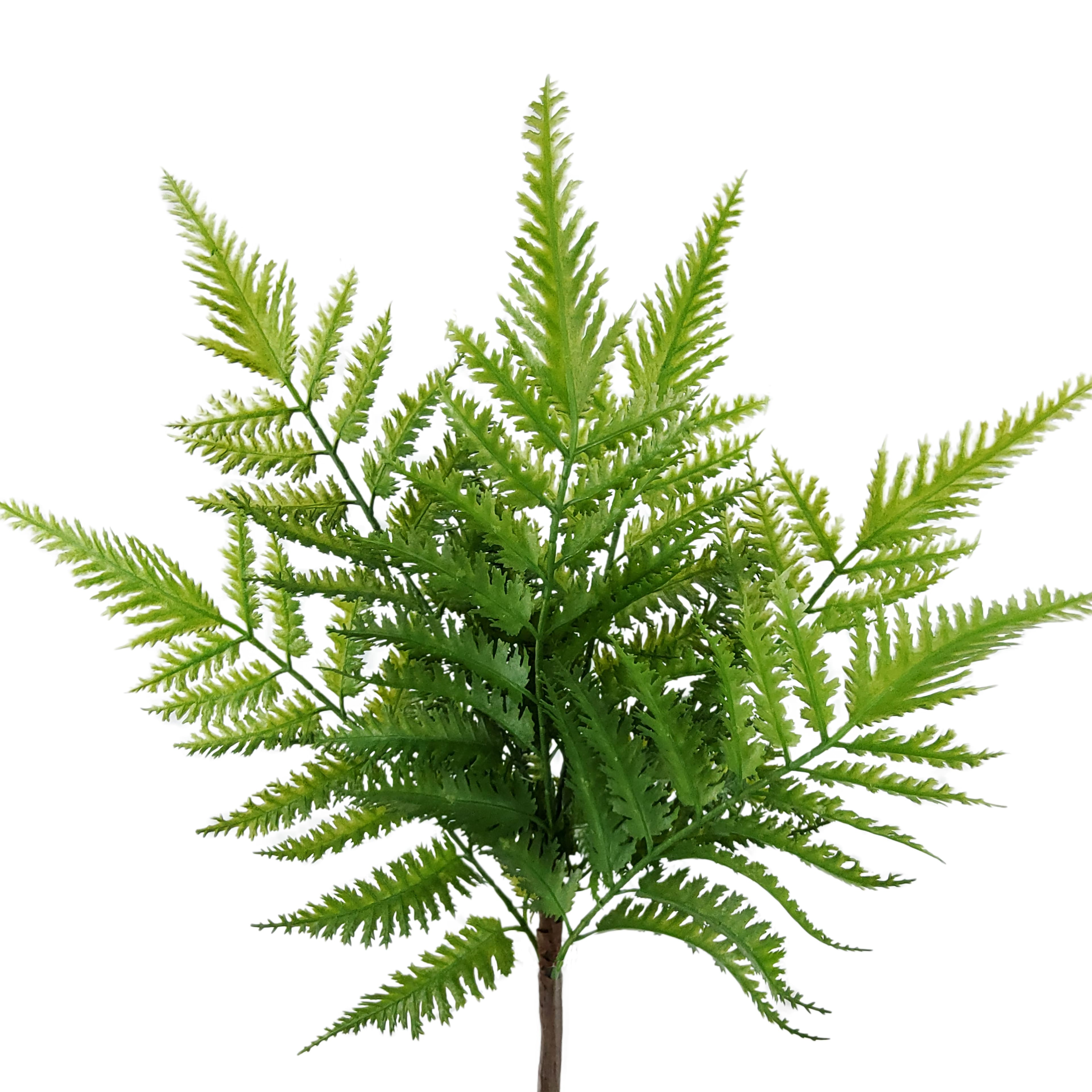 15&#x22; Green Fern Bush by Ashland&#xAE;