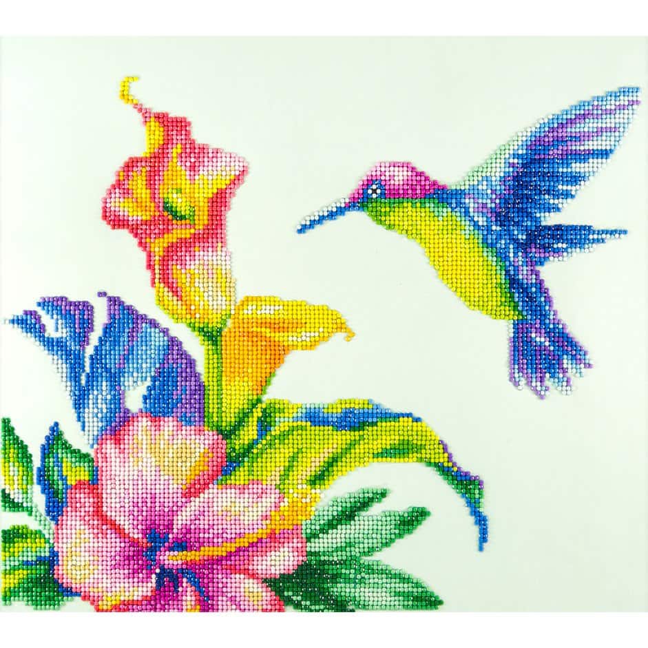 RICUVED Diamond Painting Kits for Adults, Hummingbird Diamond Art Kits Full  Drill 5D Bird Diamond Painting Art, Flowers Diamond Gem Dots Art and