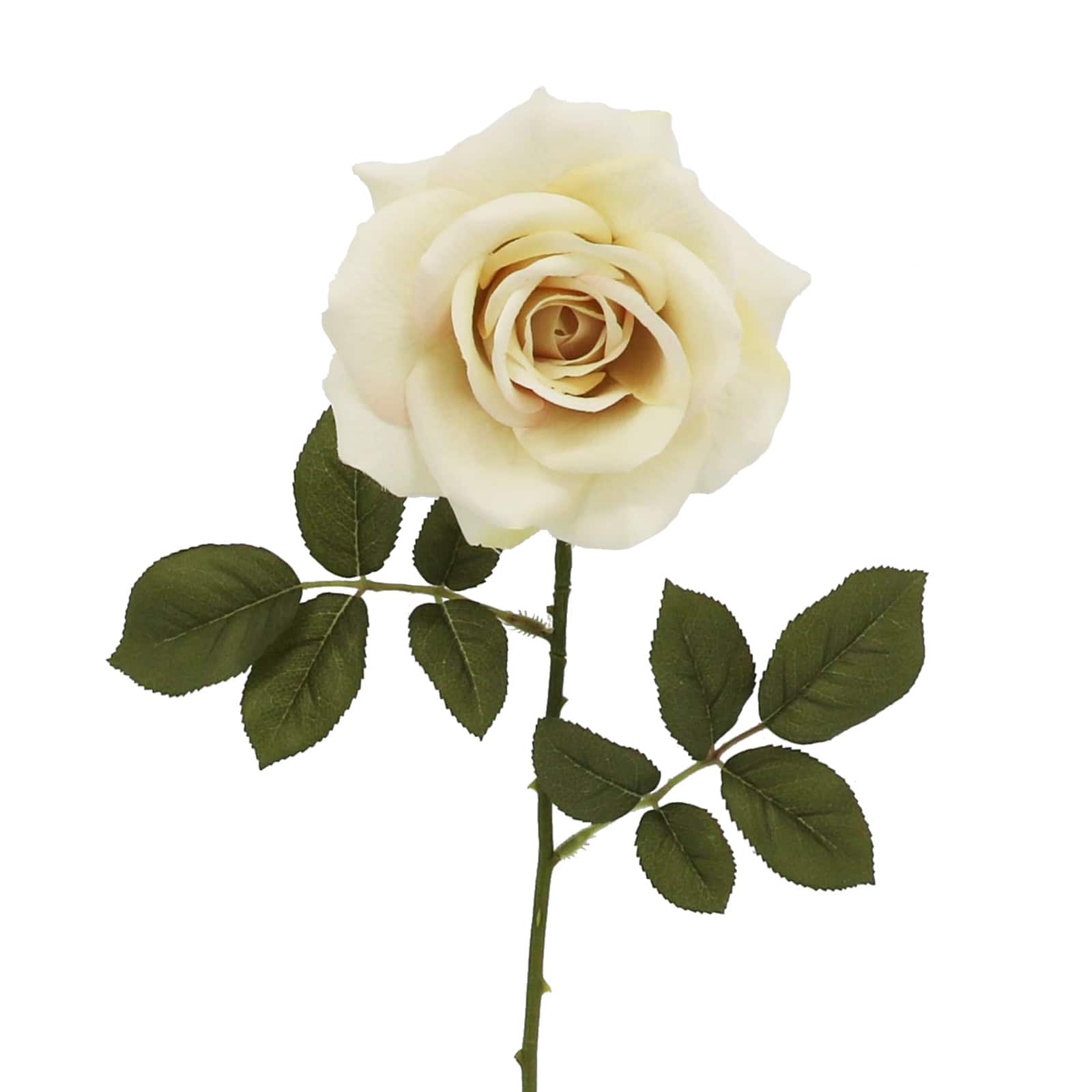 29&#x22; Cream Rose Stem by Ashland&#xAE;