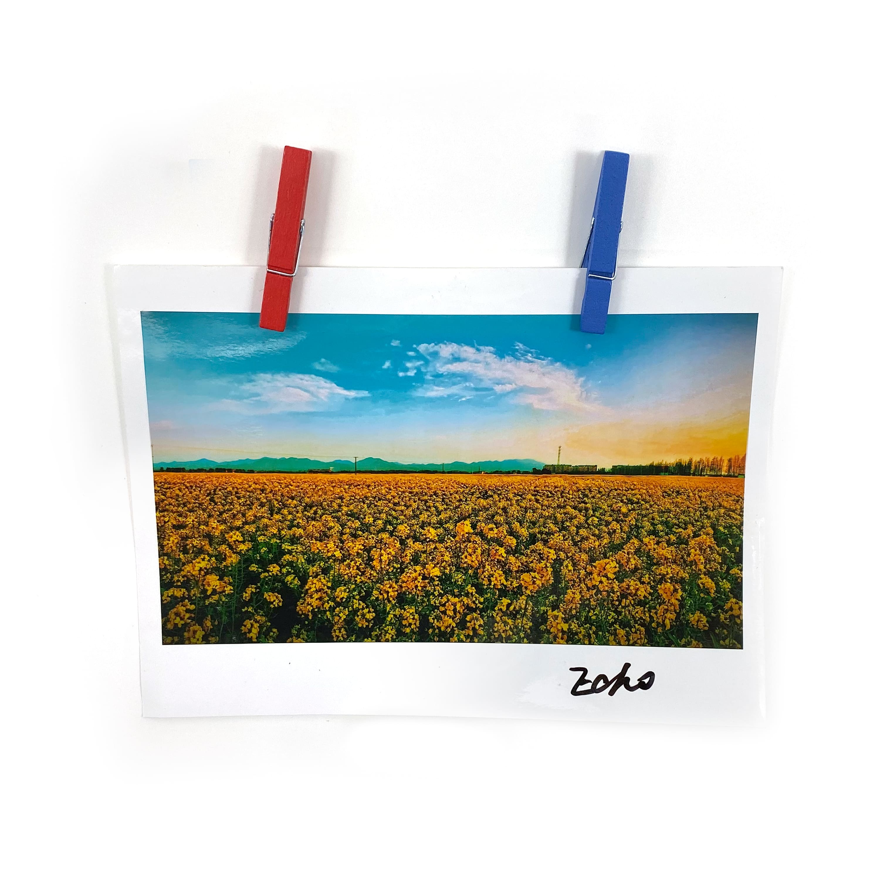 12 Packs: 30 ct. (360 total) Medium Primary Clothespins by Recollections™