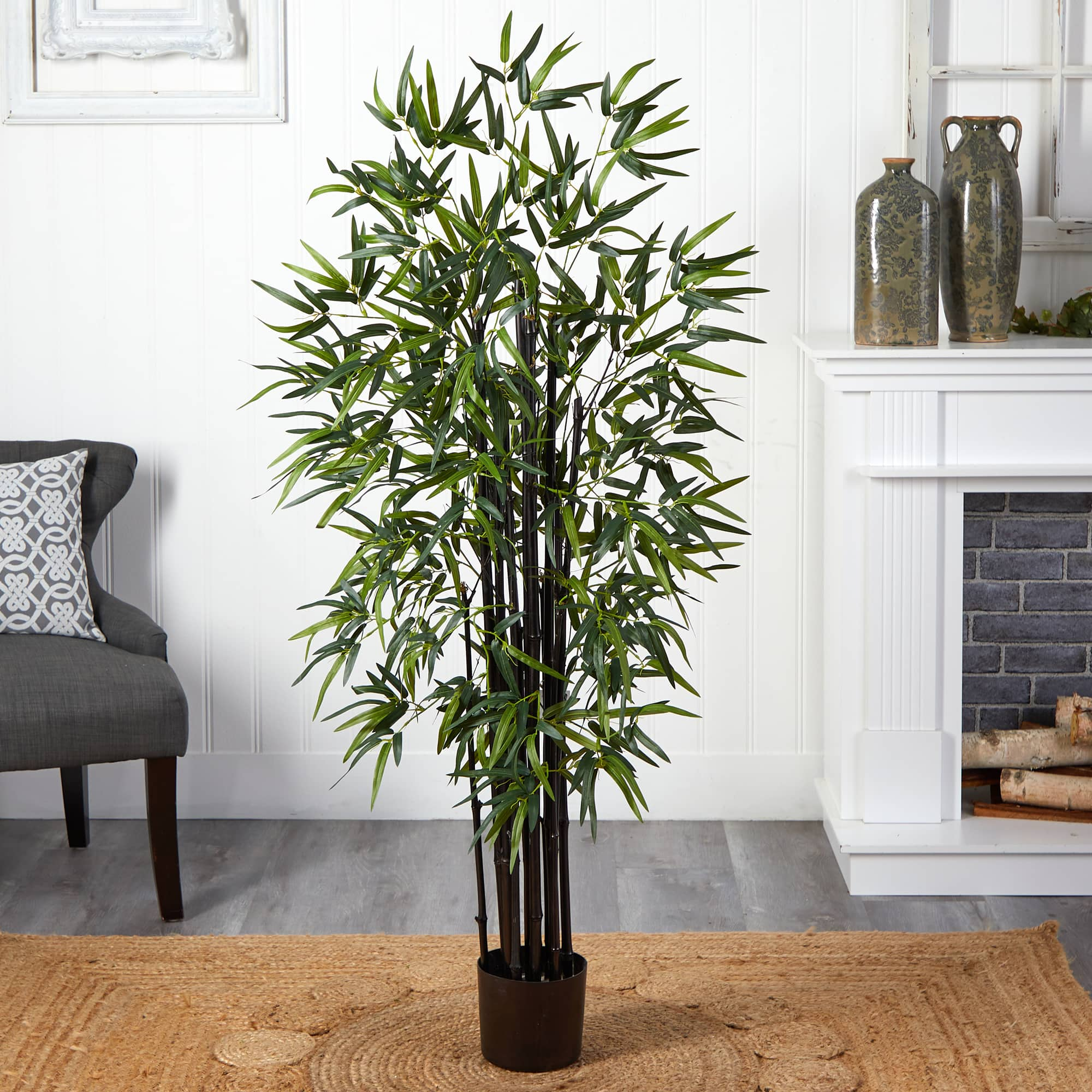 5ft. Potted Black Bamboo Tree