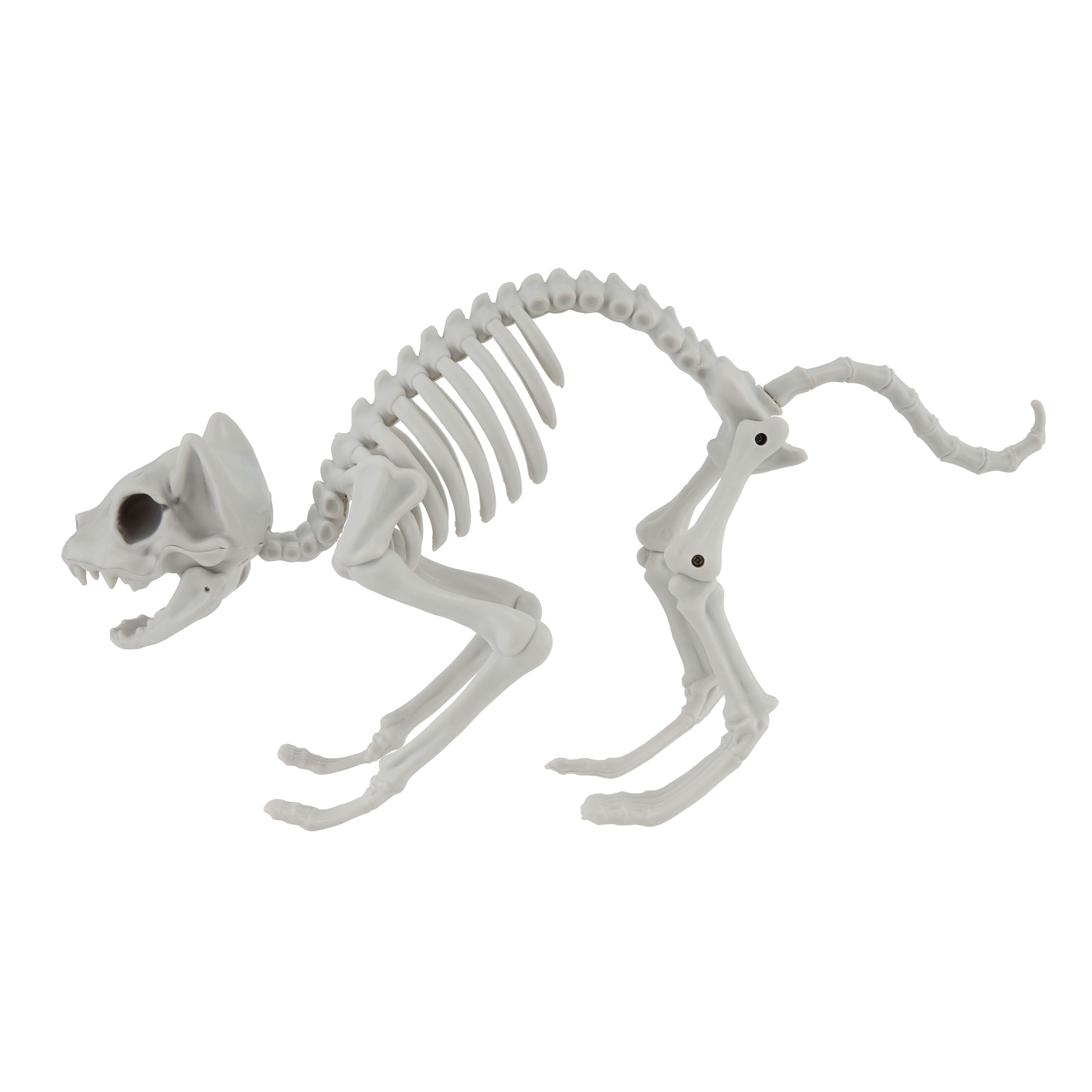 11&#x22; Cat Skeleton by Ashland&#xAE;