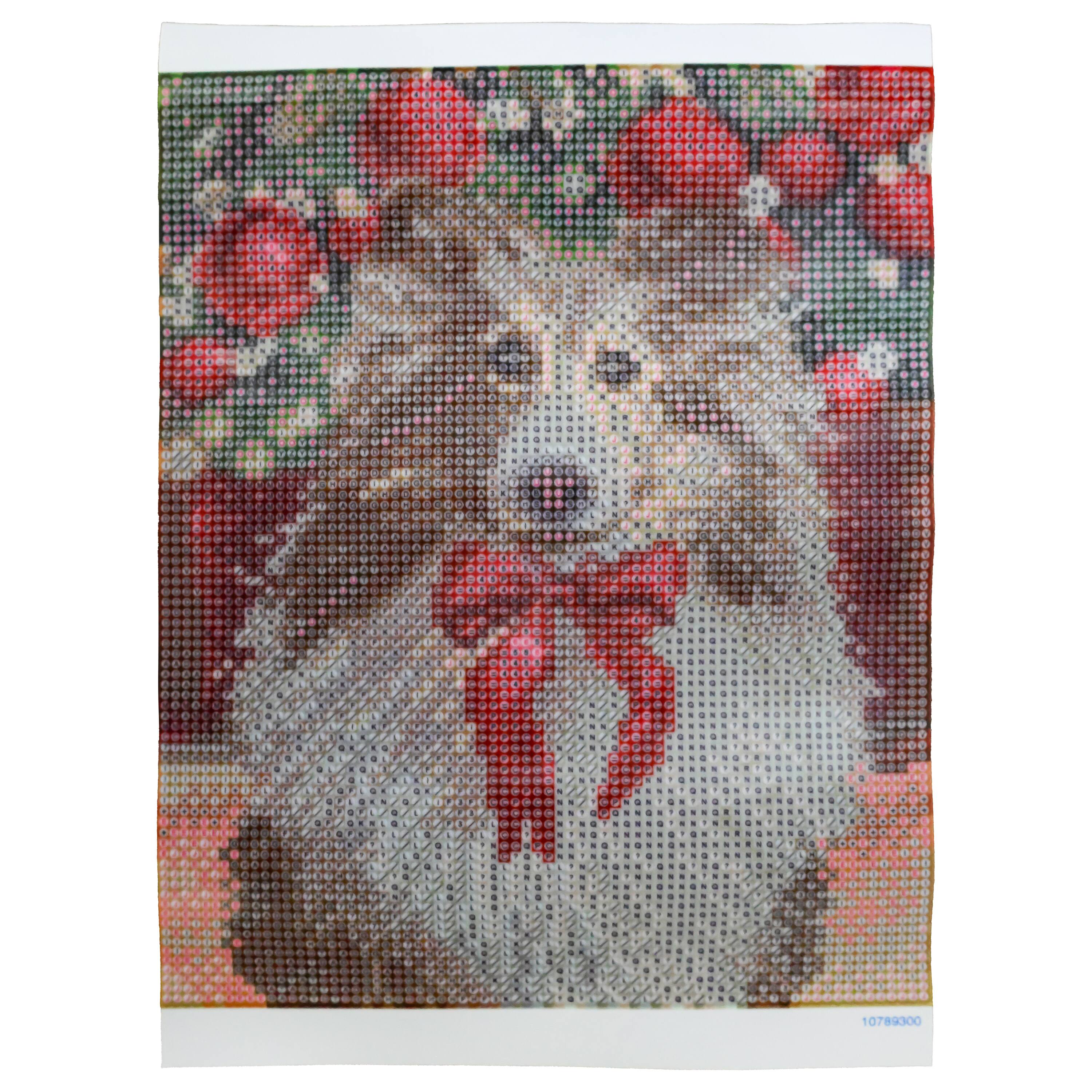 8&#x22; x 10&#x22; Collie Dog Diamond Art Kit with Frame by Make Market&#xAE;