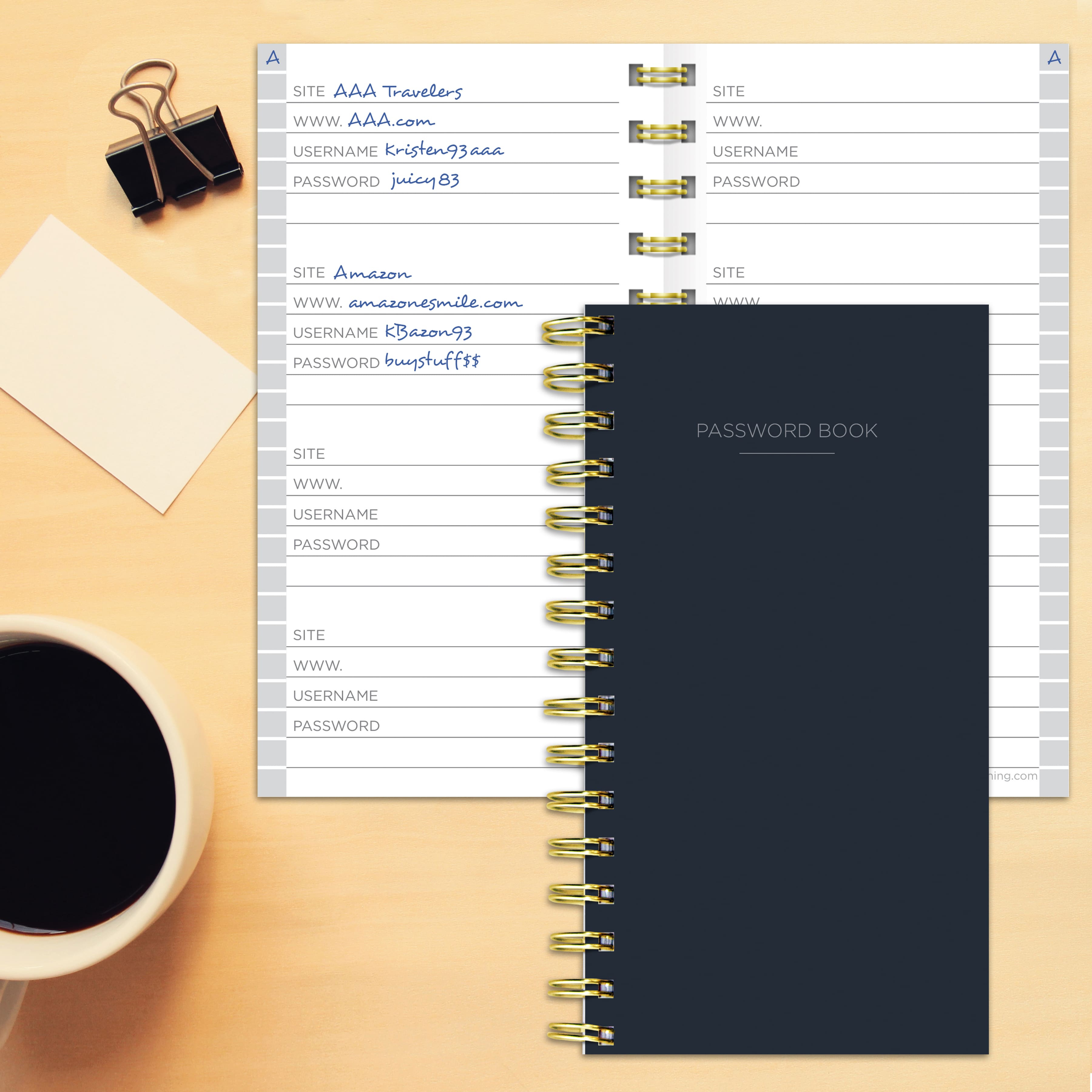 TF Publishing Joy Spiral Password Book