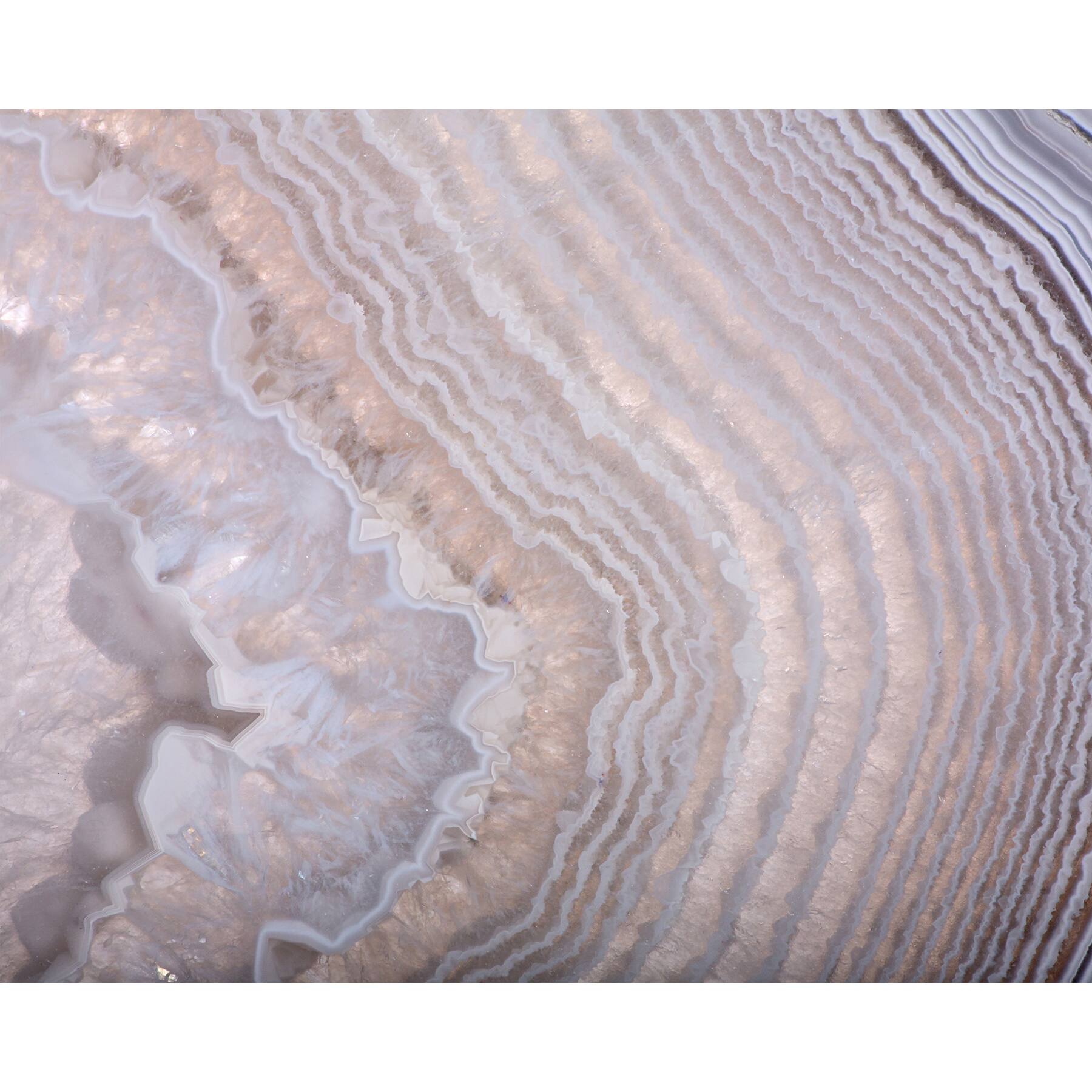 Wall Rogues Amethyst Wall Mural