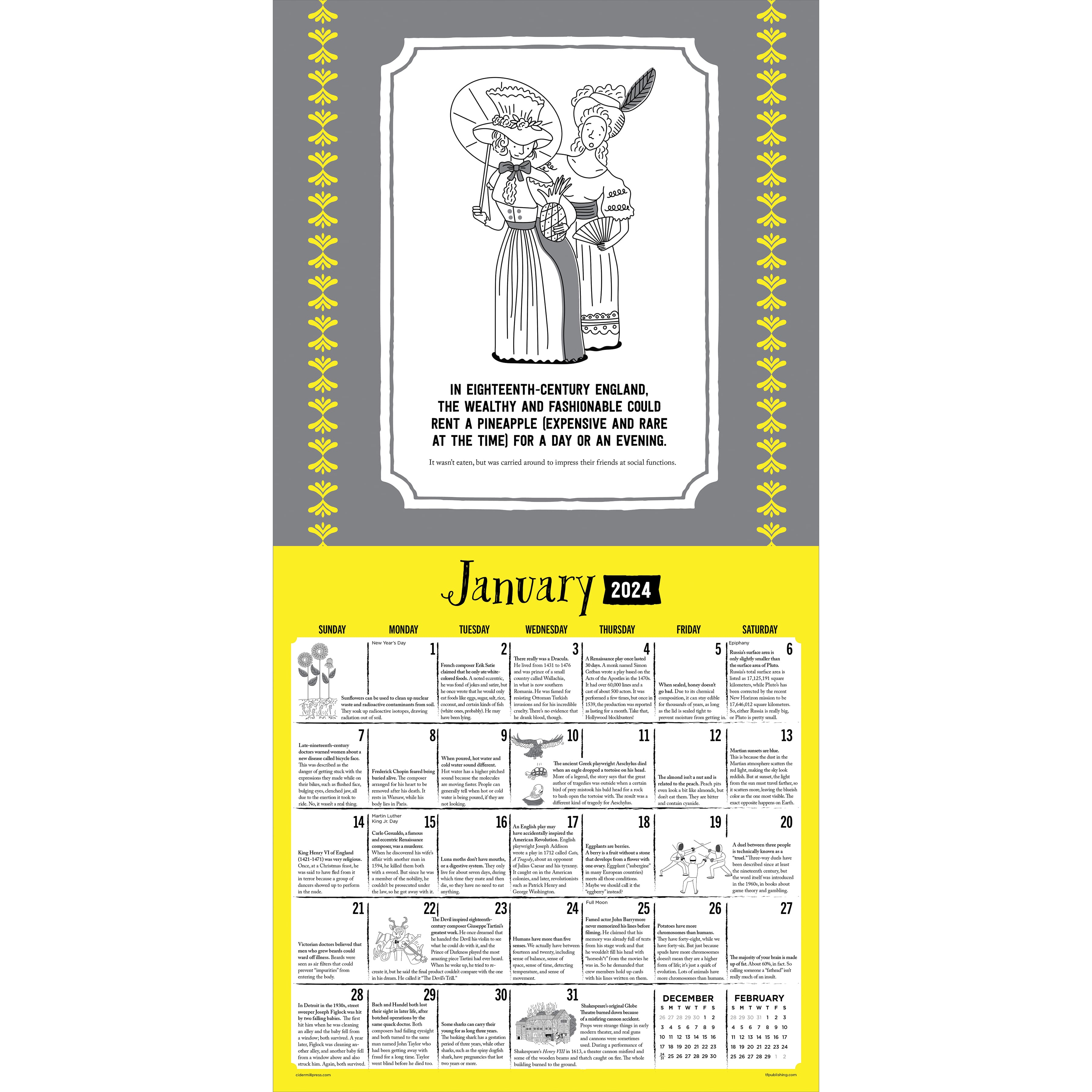 TF Publishing 2024 Insane But True Wall Calendar