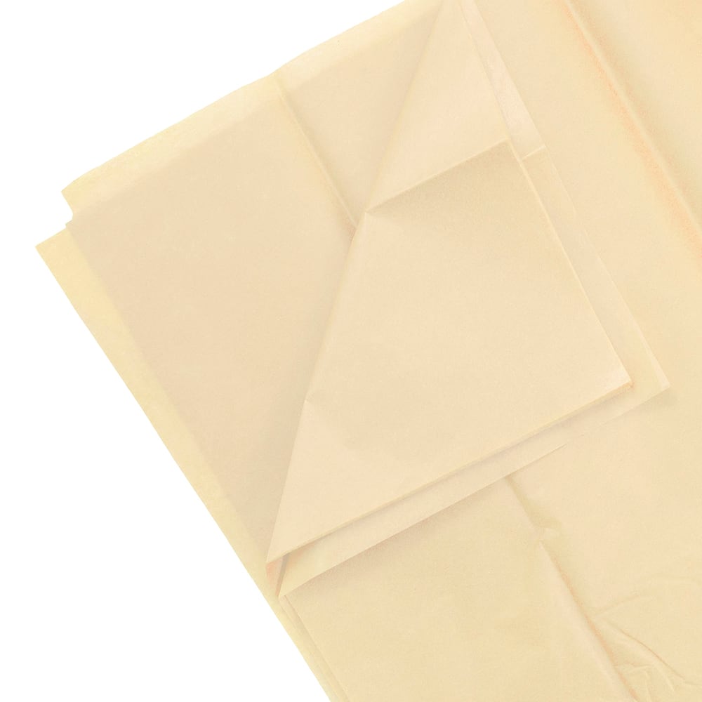 JAM Paper 20" x 26" Tissue Paper, 2 Packs of 10 Sheets