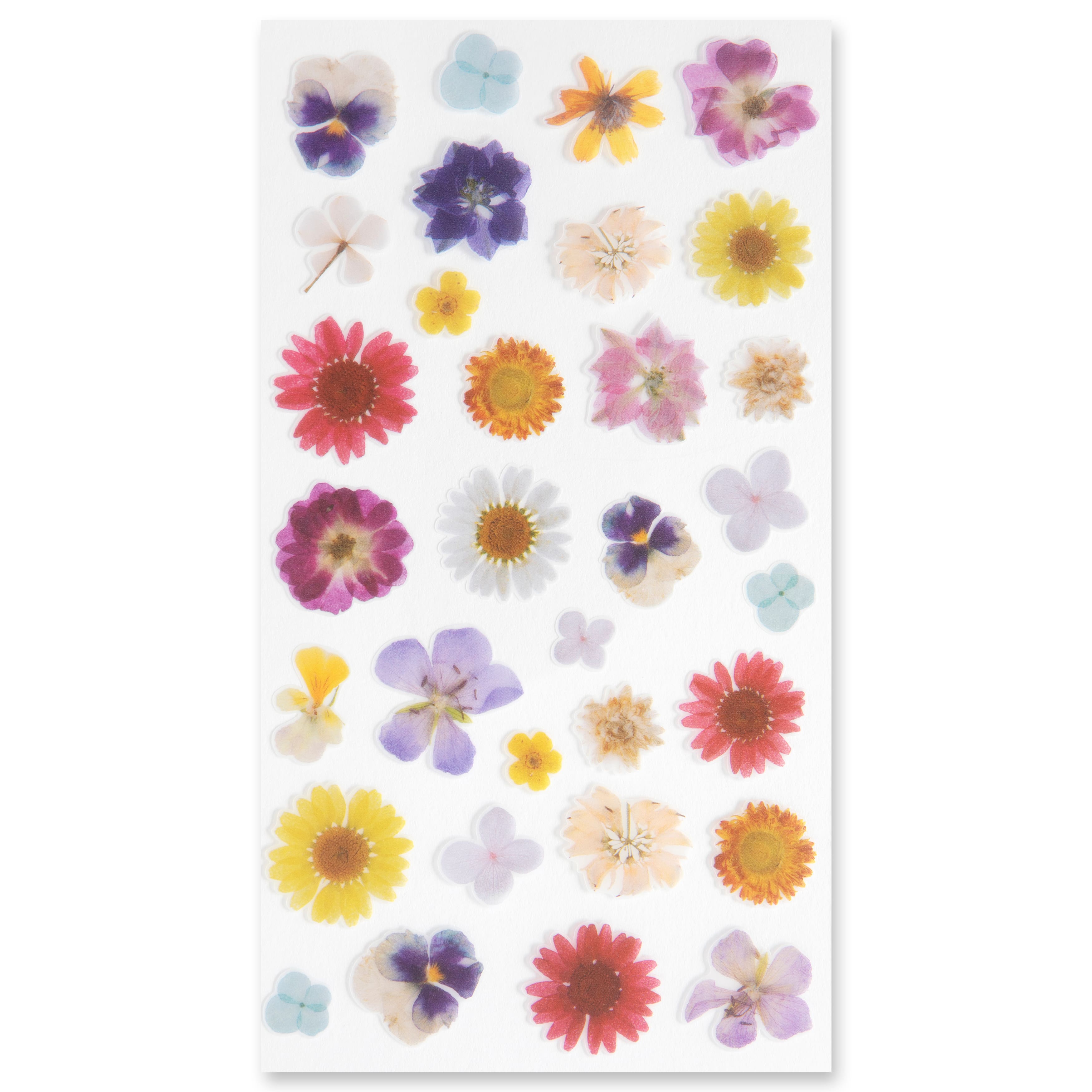 12 Pack: Dried Flower Stickers by Recollections&#x2122;