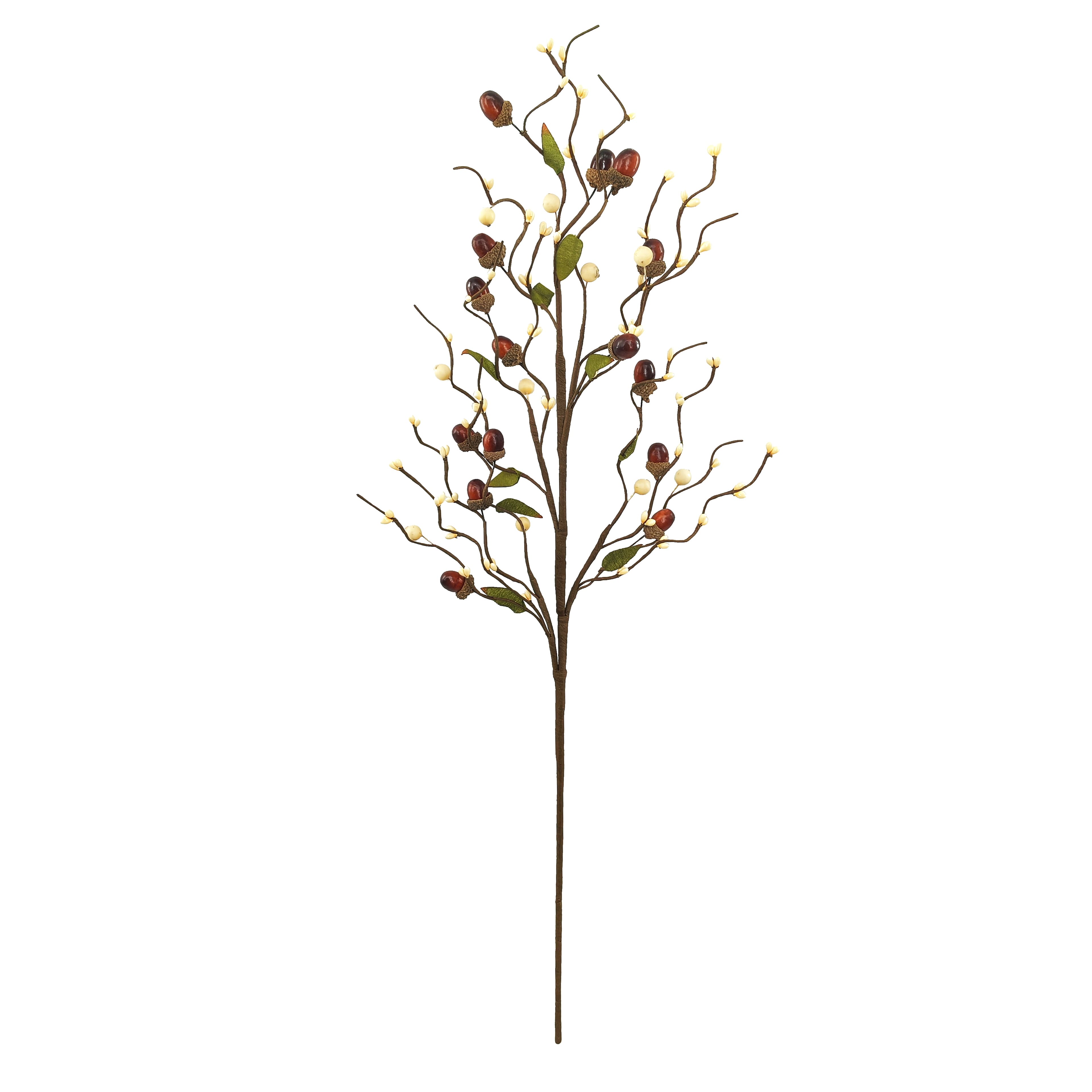 32&#x22; Brown Acorn Branch by Ashland&#xAE;
