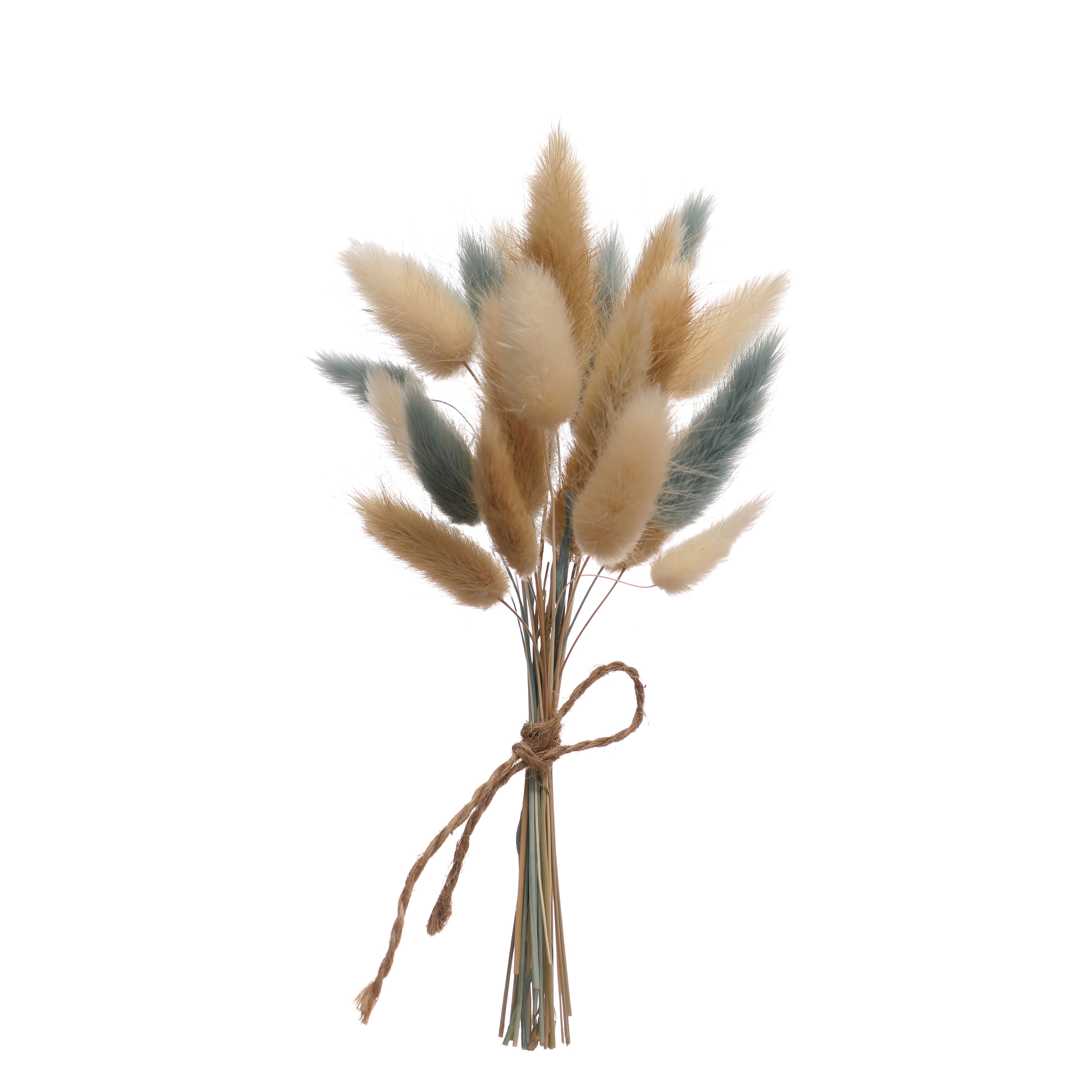 Natural &#x26; Blue Dried Lagurus Mini Bundle by Ashland&#xAE;