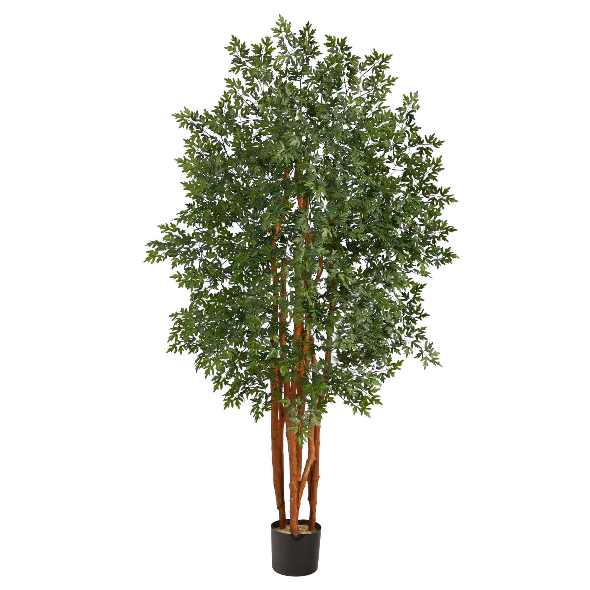 5ft. Aralia Artificial Tree