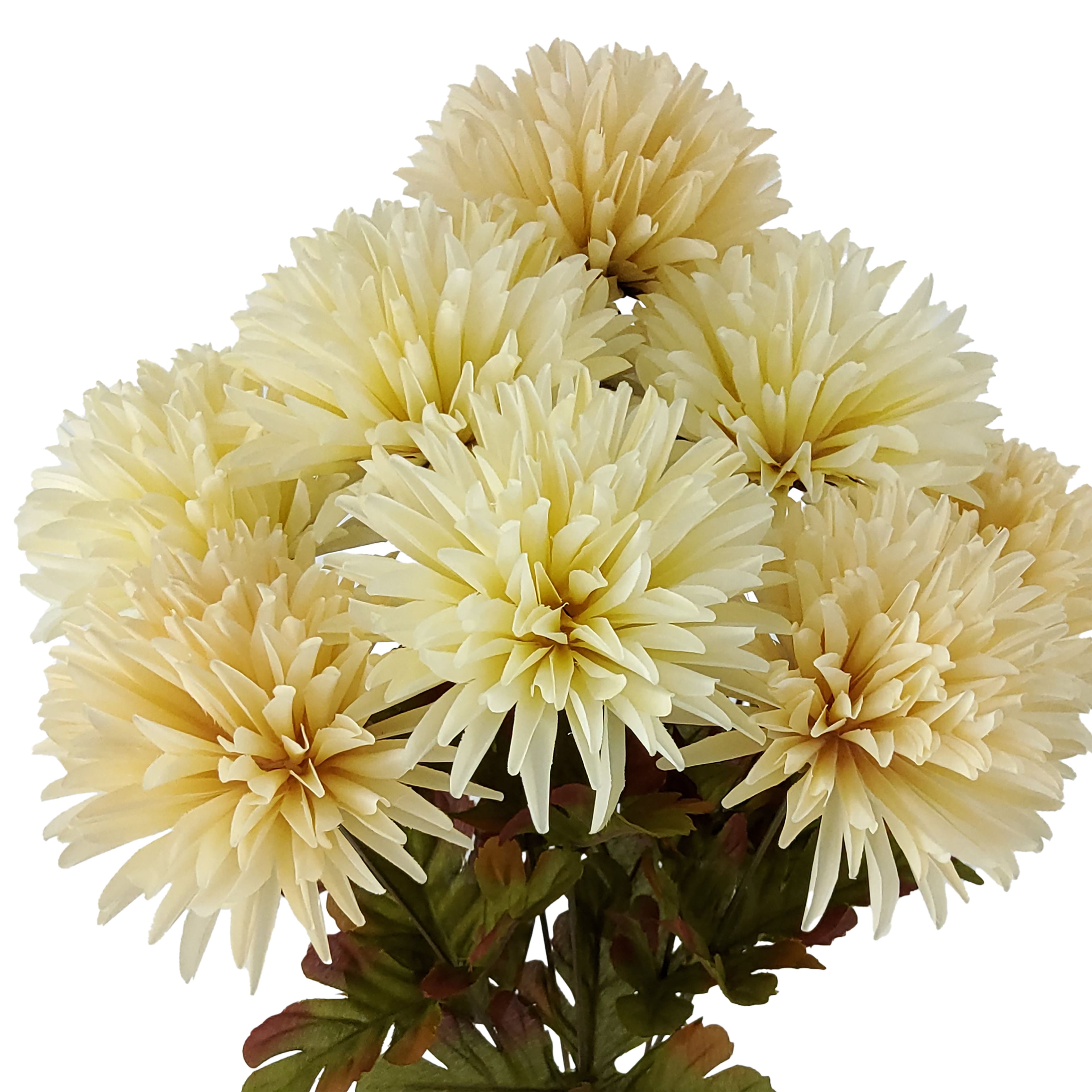 19.5&#x22; Cream Spider Mum Bush by Ashland&#xAE;