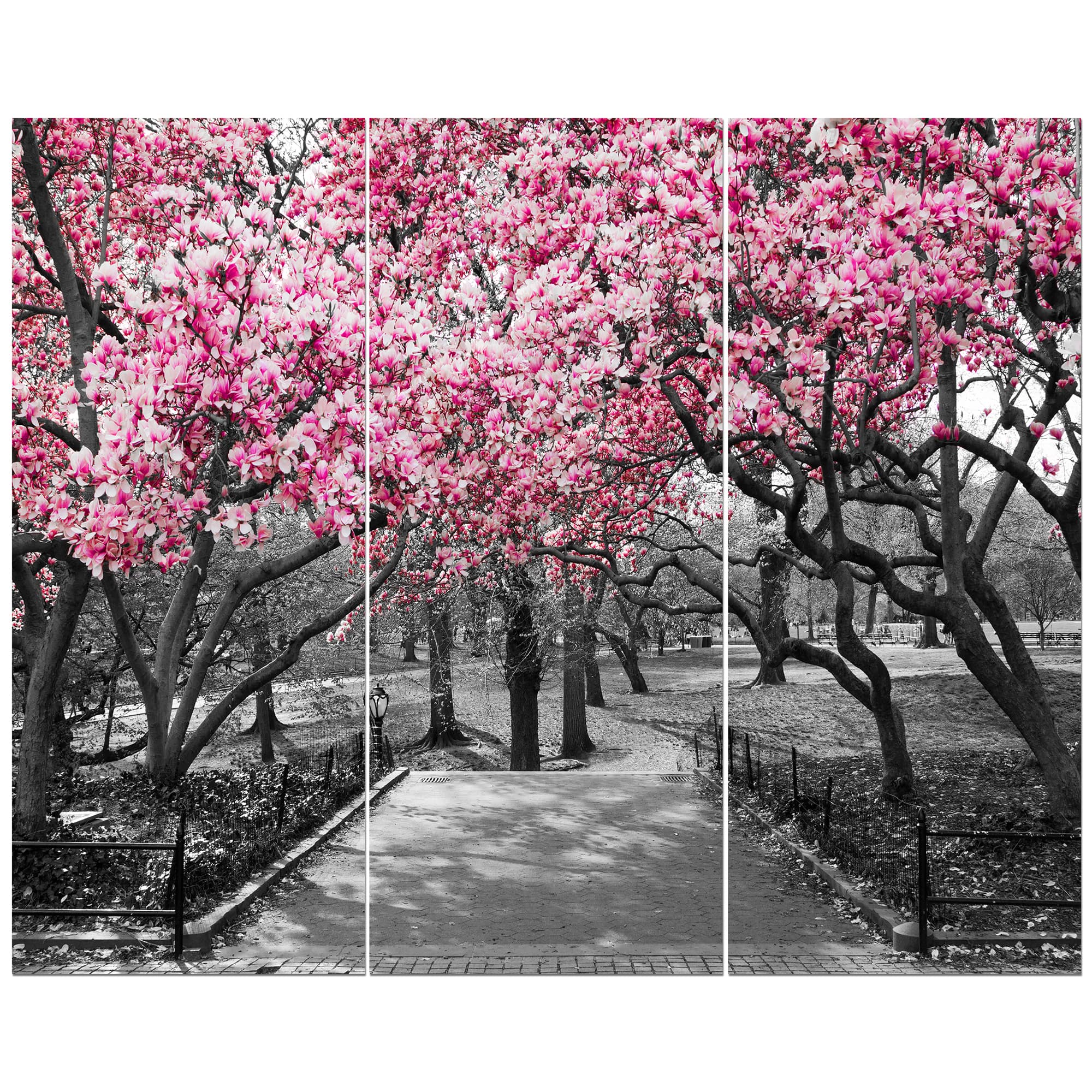 Designart Photographic Floral Cherry Blossoms Landscapes On Wrapped Canvas Set
