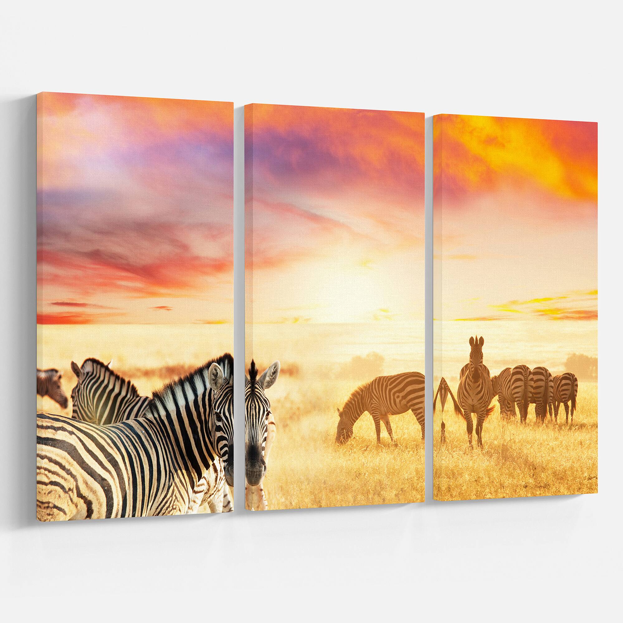 Designart - Cute Zebras Grazing in Grassland - Animal Canvas Art Print