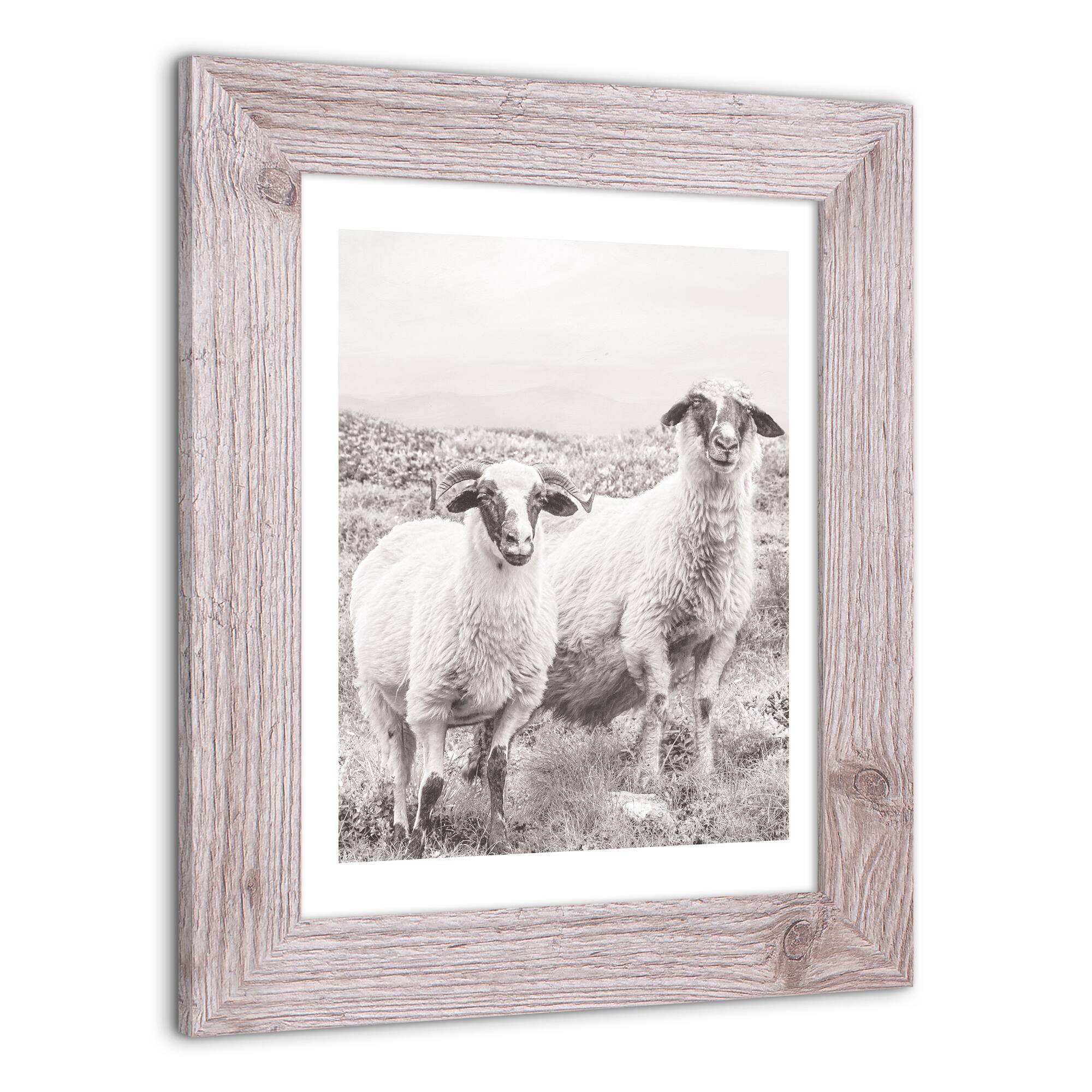 Sheep on Hill Western Framed Print