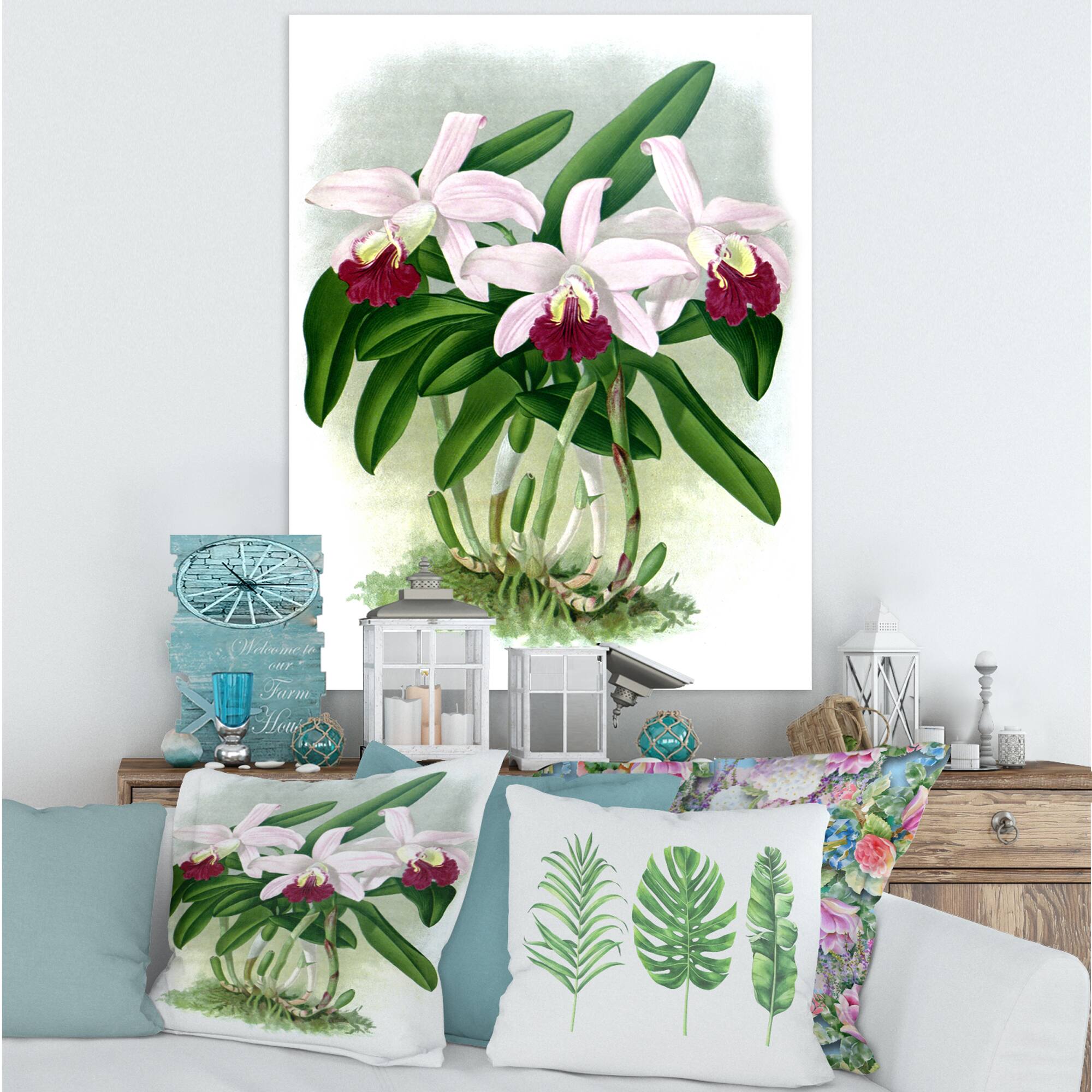 Designart - Vintage White Orchid Flower I - Traditional Canvas Wall Art Print