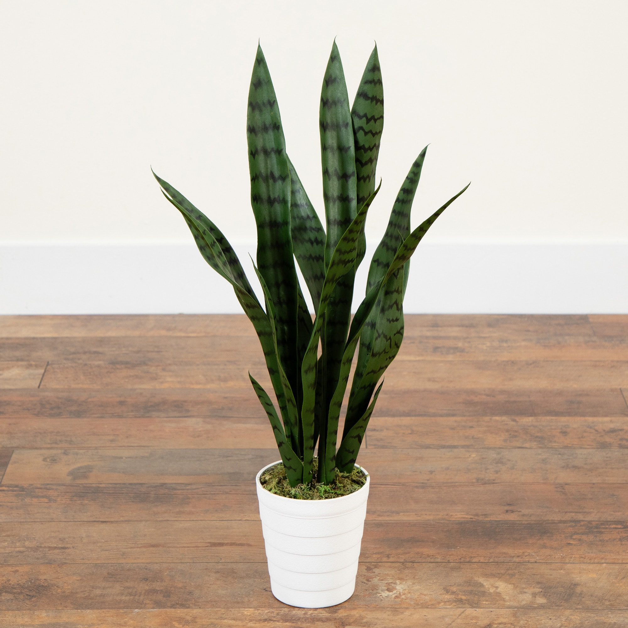 2ft. UV Resistant Artificial Snake Plant in White Decorative Planter