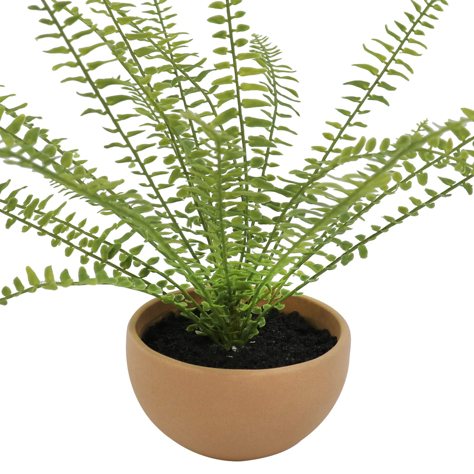 13&#x22; Boston Fern in Terra Cotta Planter by Ashland&#xAE;