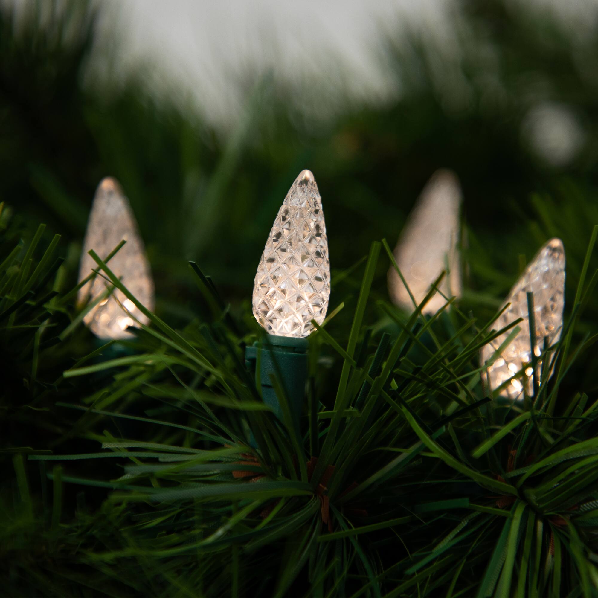 Battery Operated LED C6 Faceted Christmas Lights - Warm White - 15.75' Green Wire - 50ct