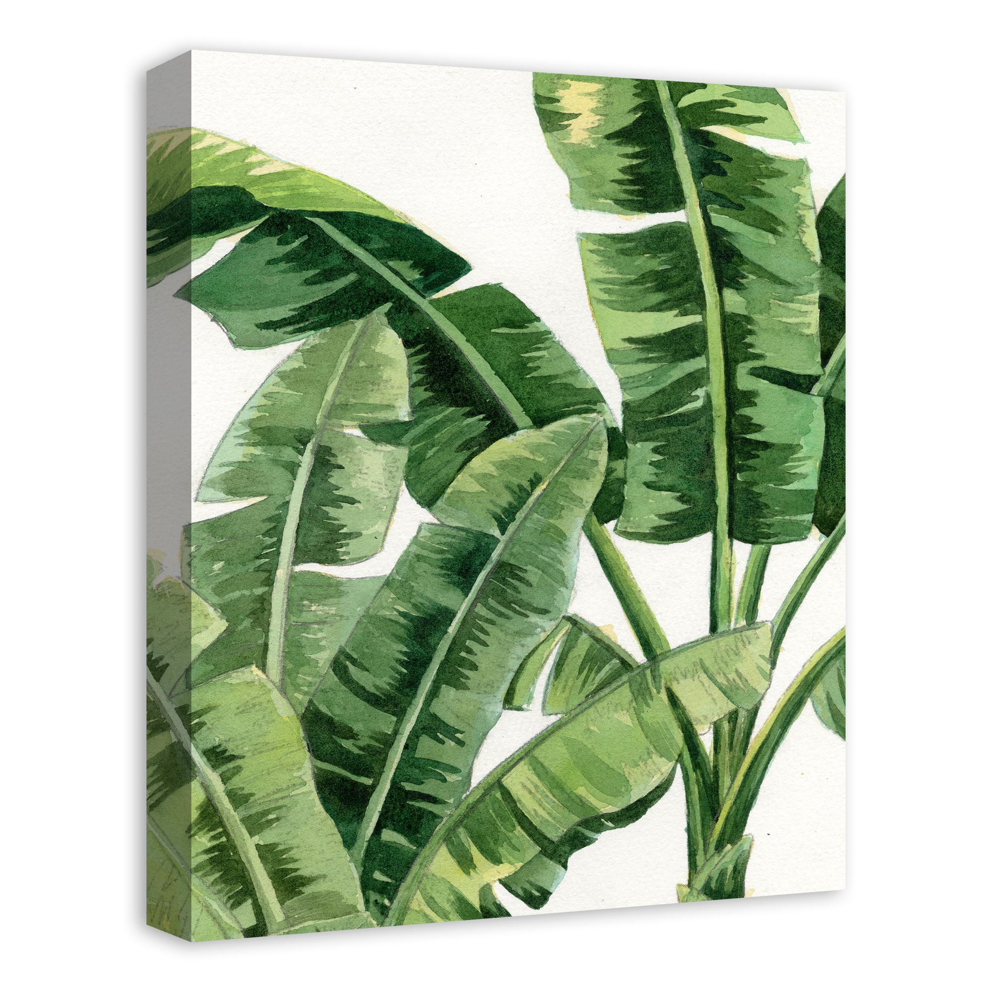 Palm Fronds 16&#x22; x 20&#x22; Canvas Wall Art
