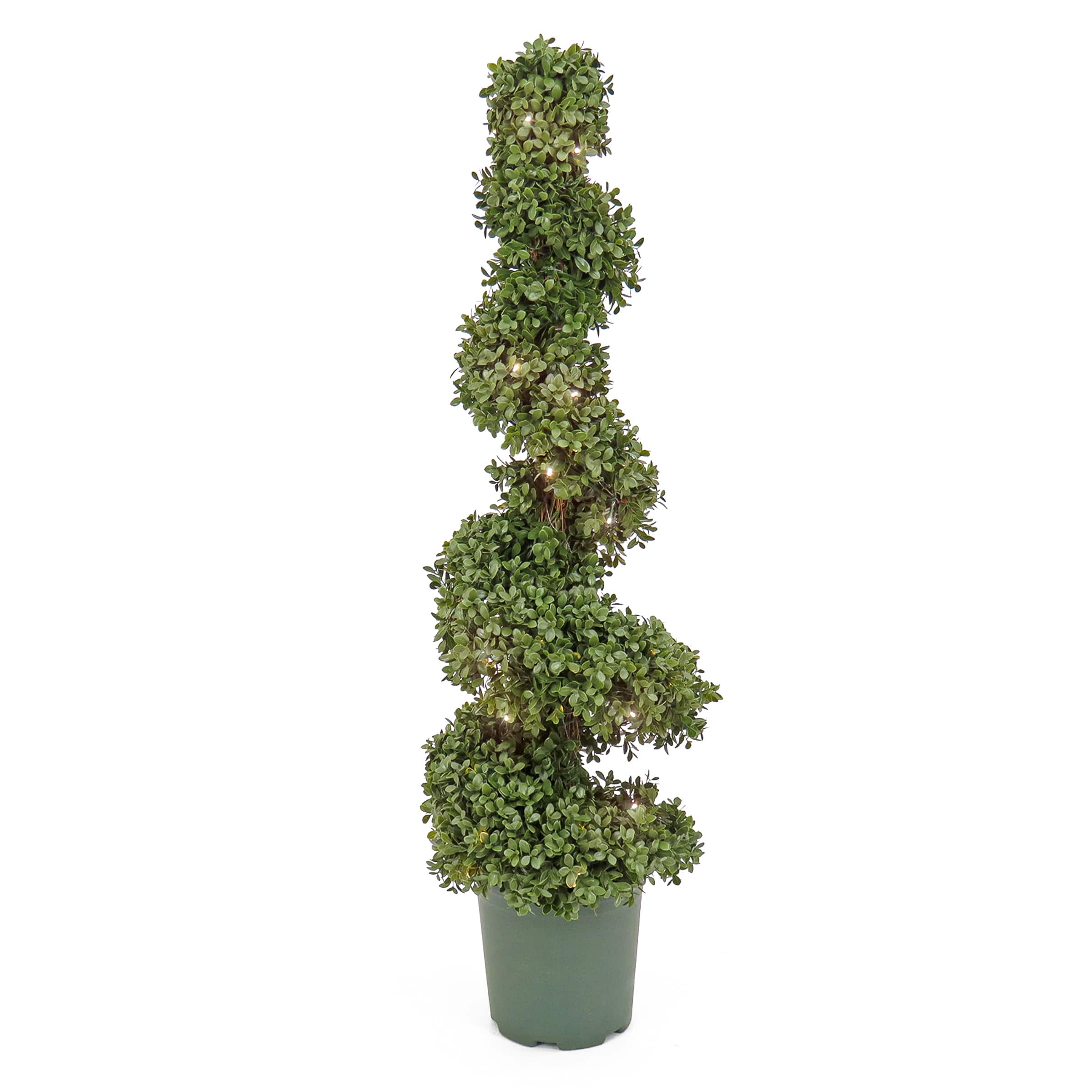 3.5ft. Pre-Lit Boxwood Spiral Topiary