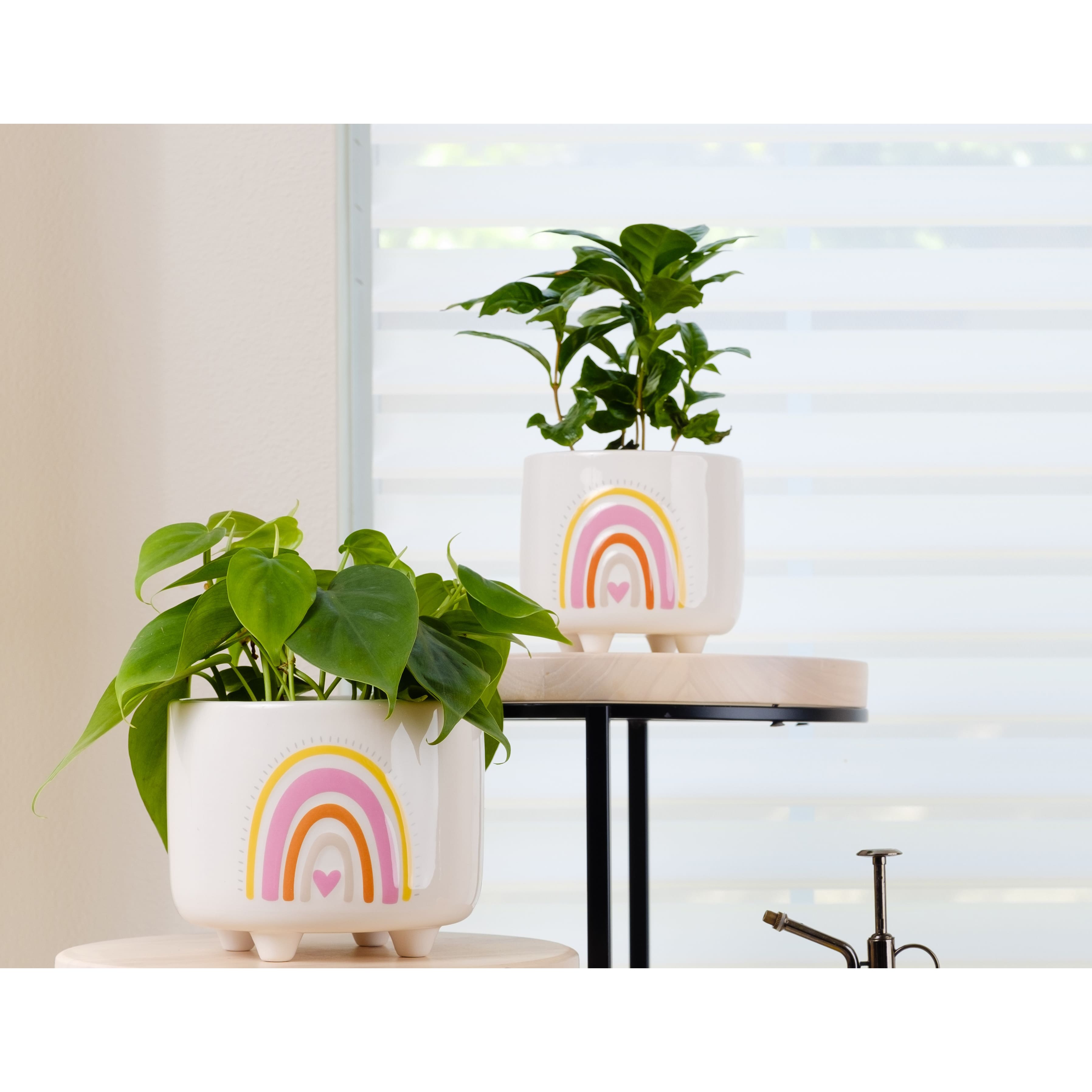 Flora Bunda® Pink Colorful Rainbow Footed Planter Set