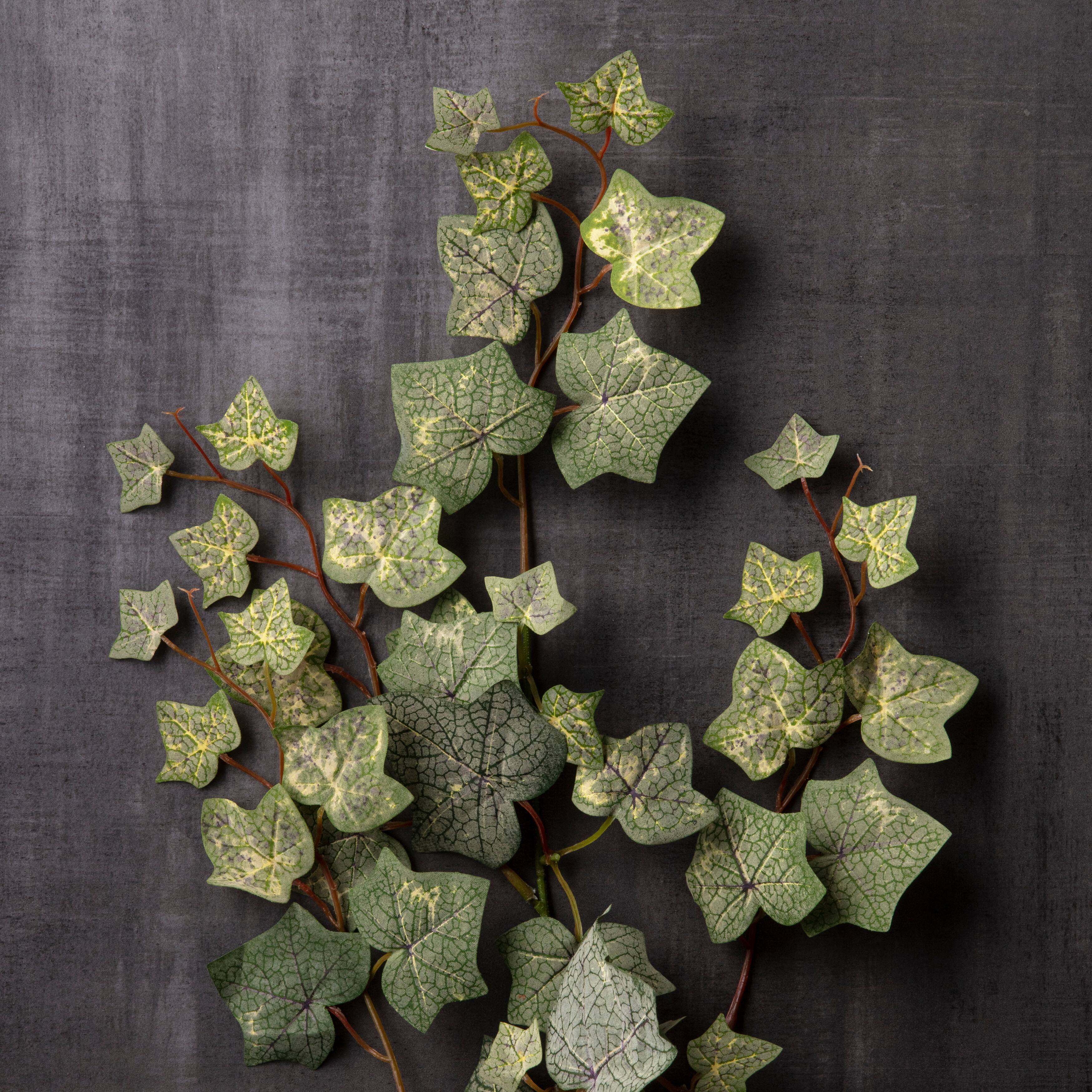 English Ivy Spray by Ashland® Michaels
