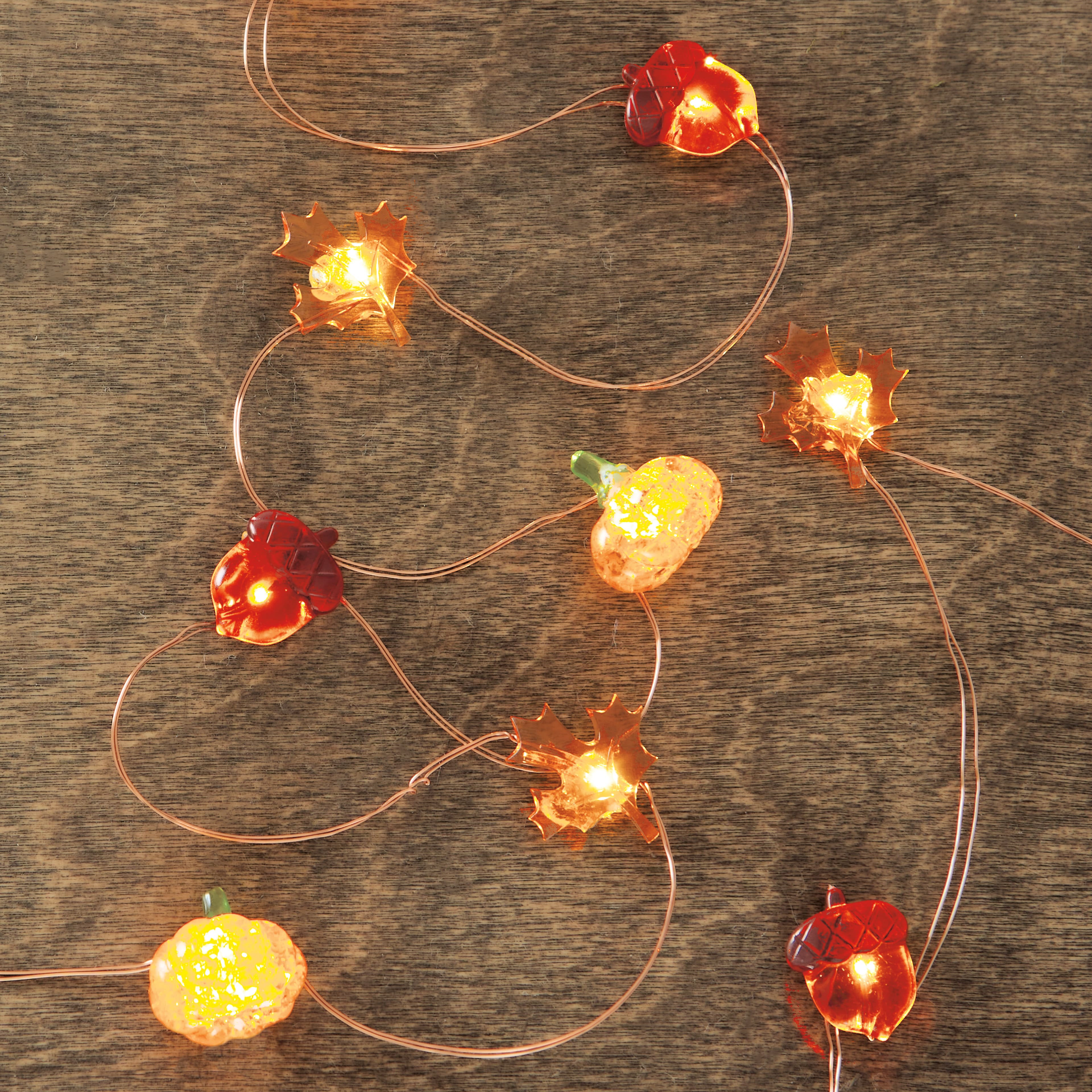 18ct. Warm White LED Fall Icon String Lights by Ashland&#xAE;