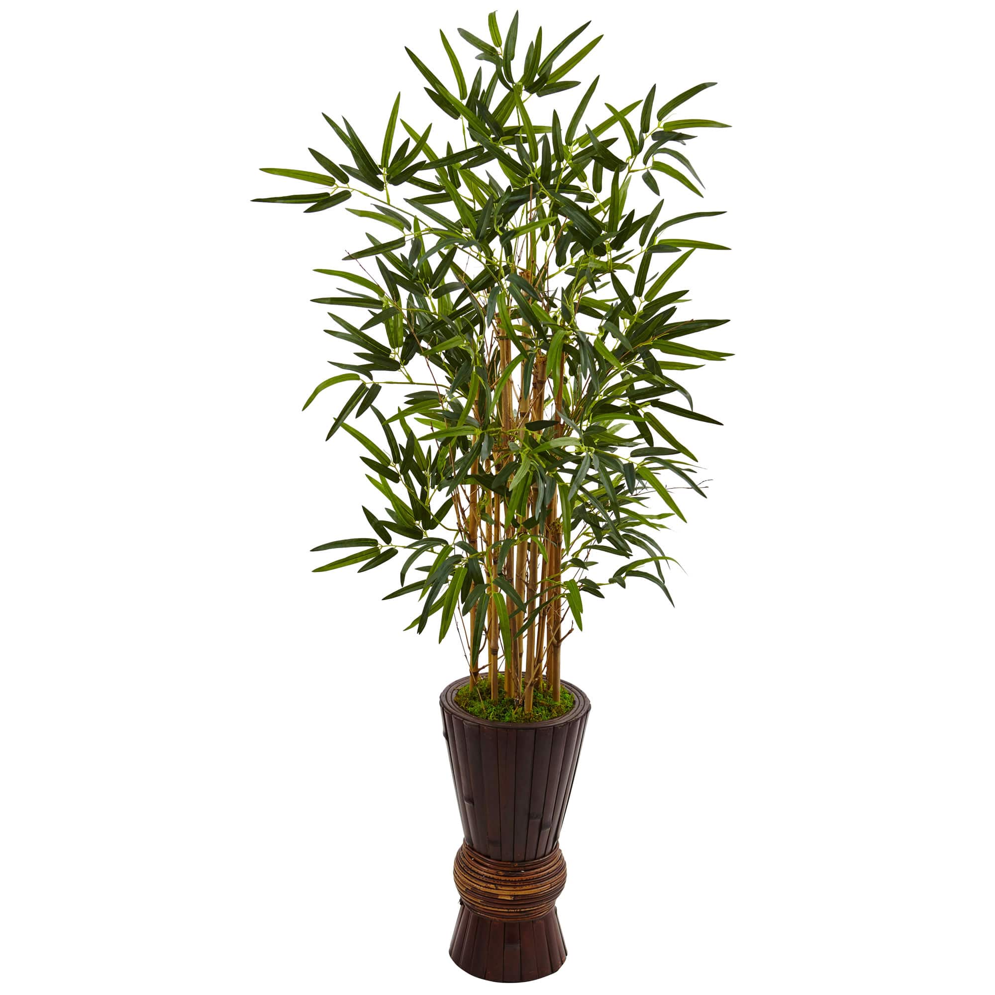 4.5ft. Bamboo Tree in Bamboo Planter | Michaels