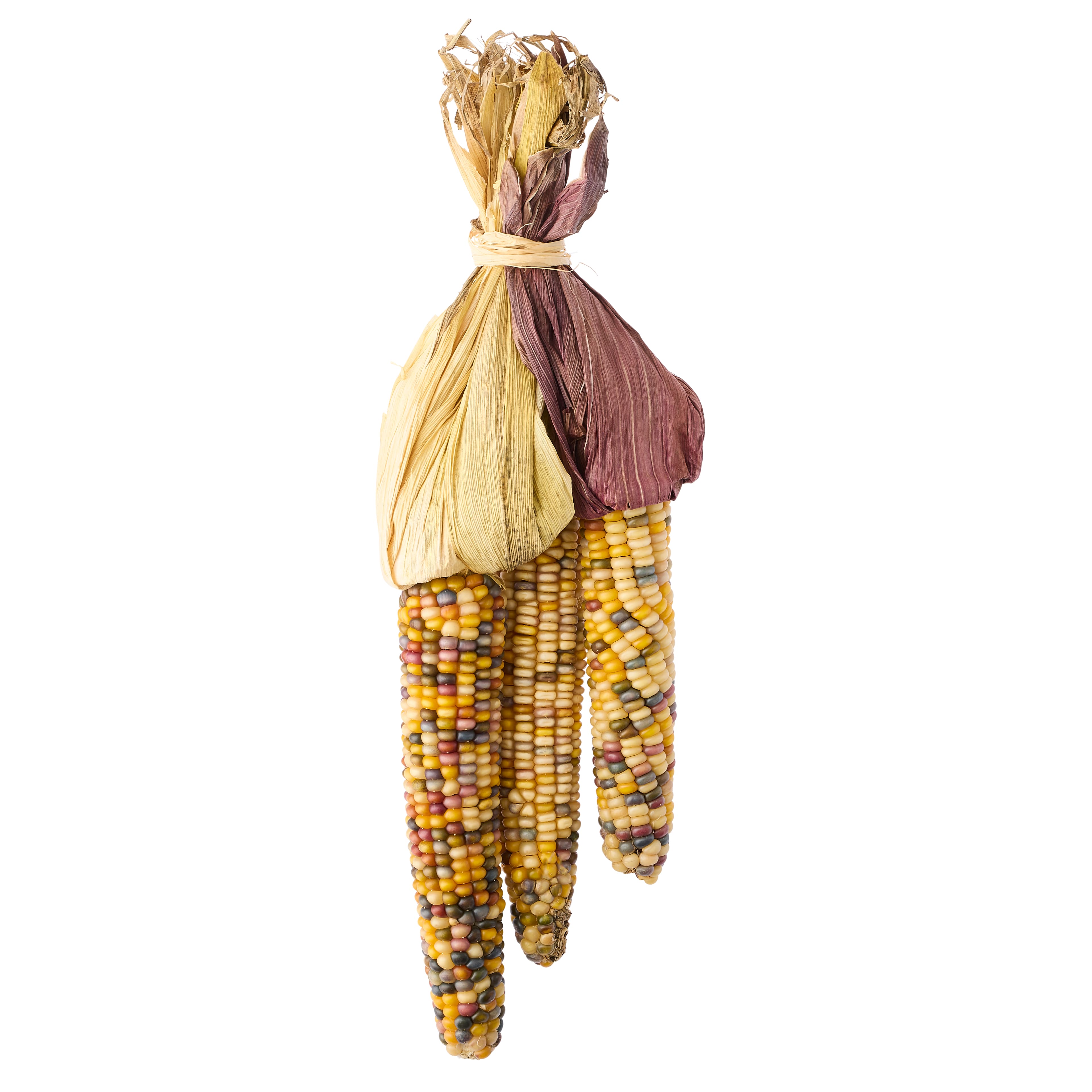 18&#x22; Flint Corn Bundle by Ashland&#xAE;