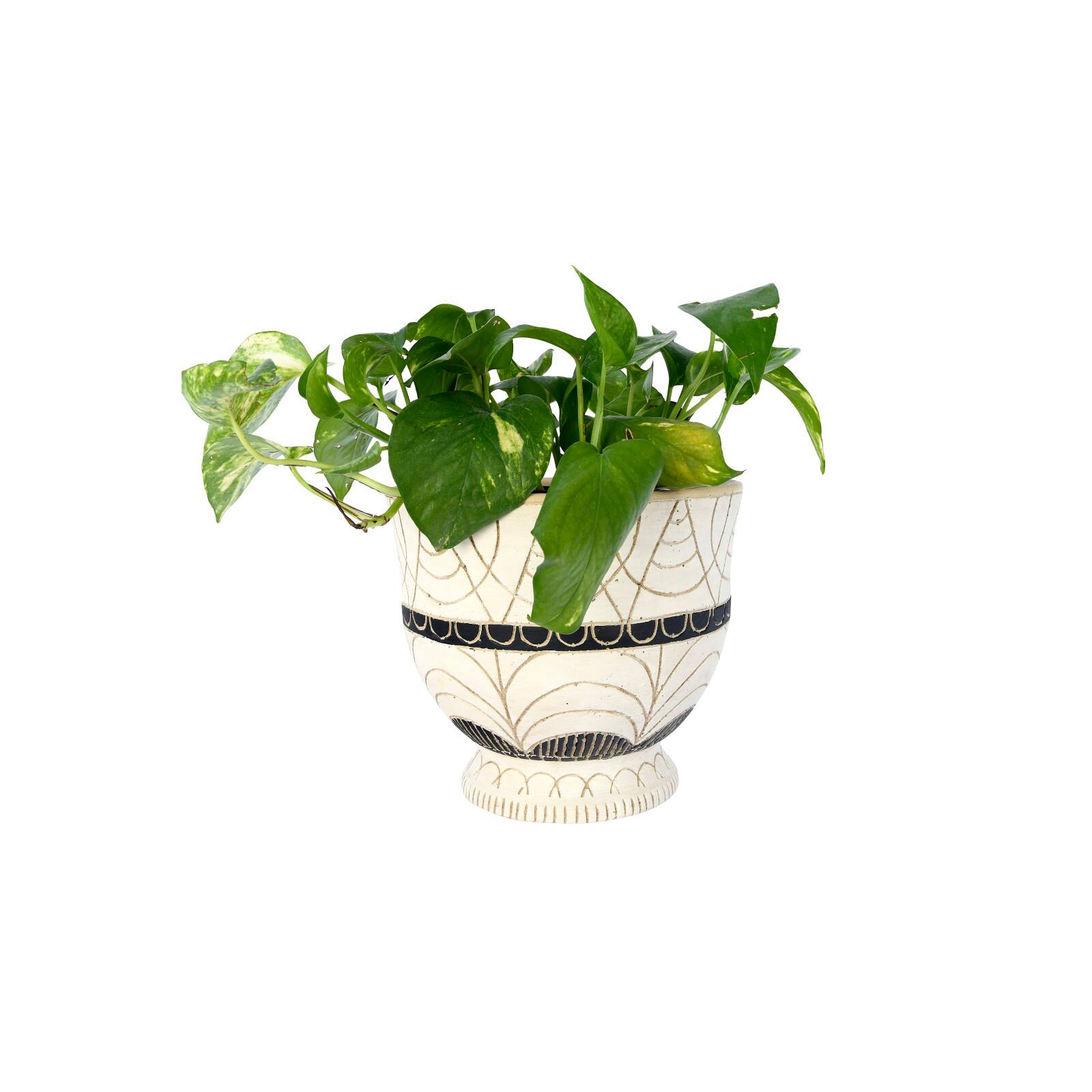 Hello Honey® 7" Debossed Terra Cotta Planter with Pedestal Base