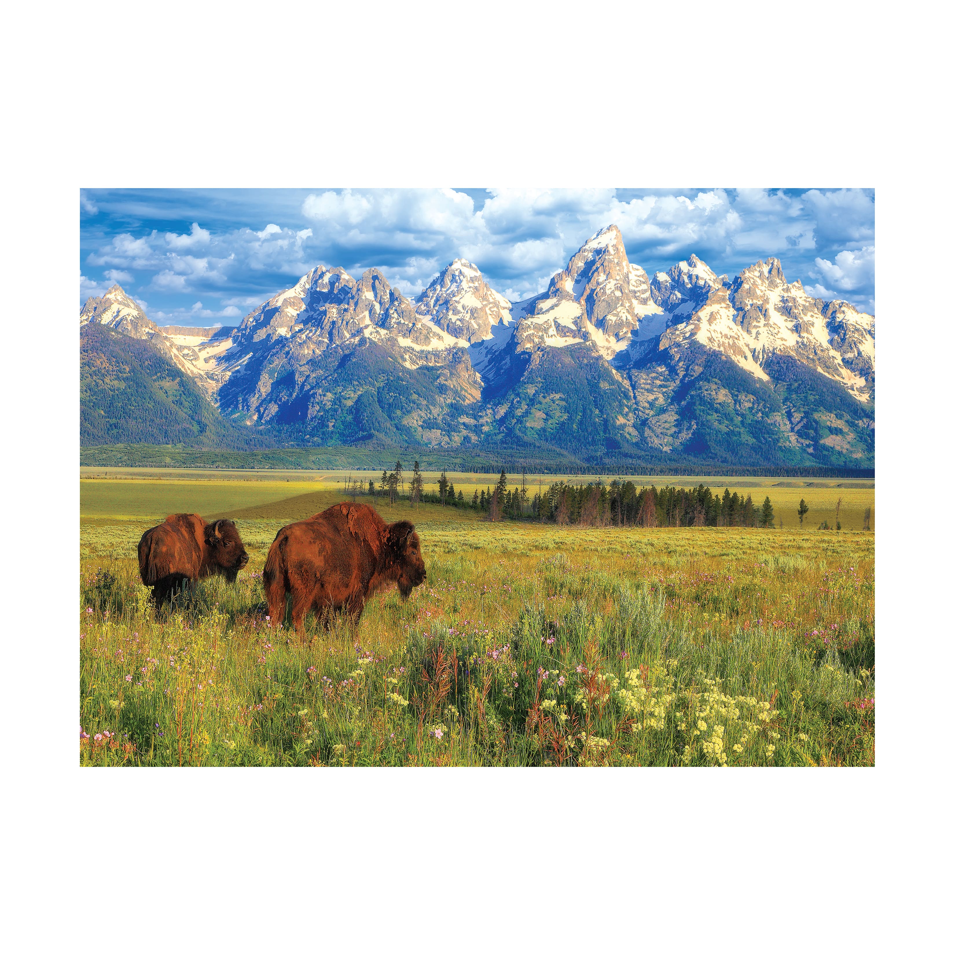 Steve Hinch - Grand Teton National Park, Wyoming, USA: 1000 Pcs