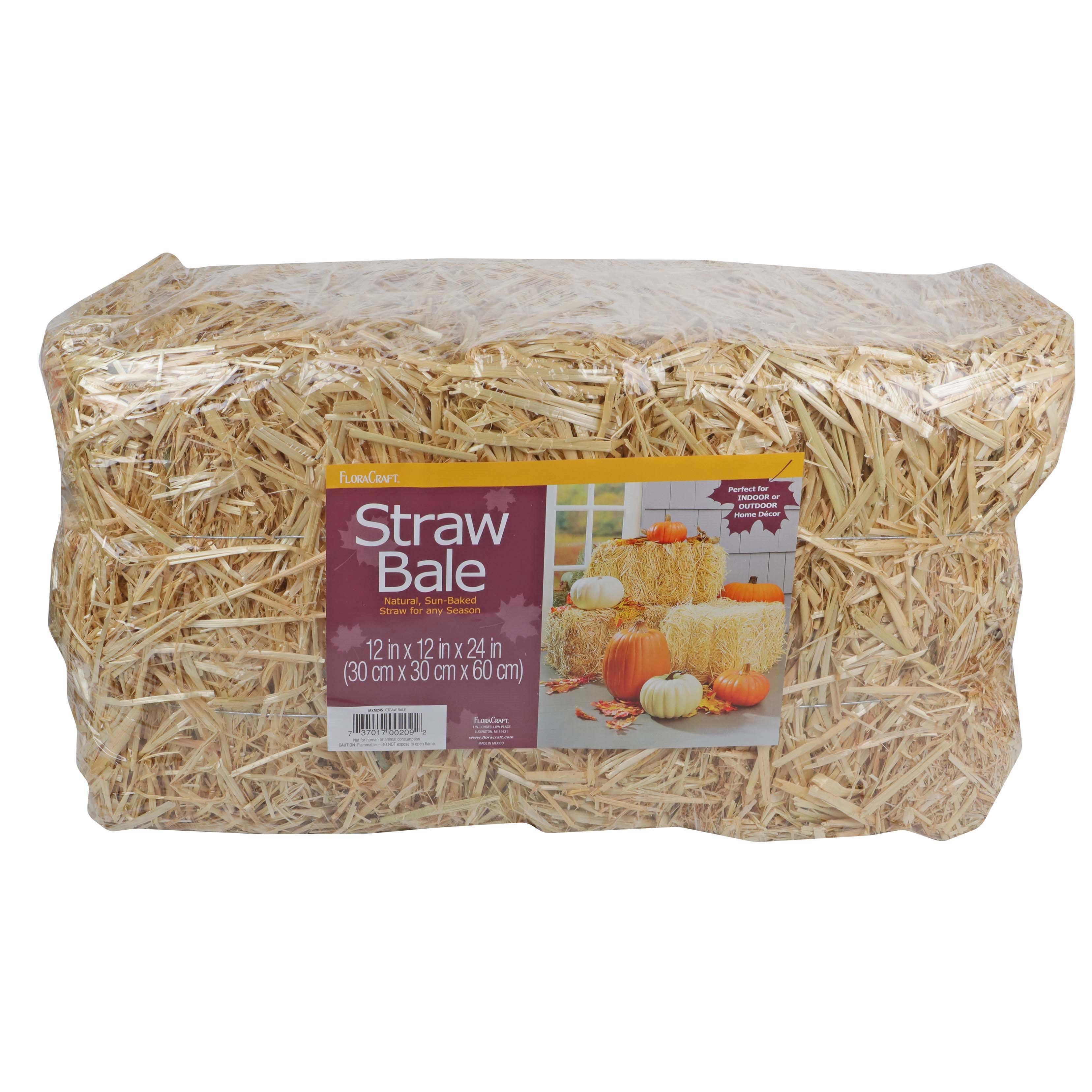  FloraCraft Straw Bale 12 Inch x 12 Inch x 24 Inch