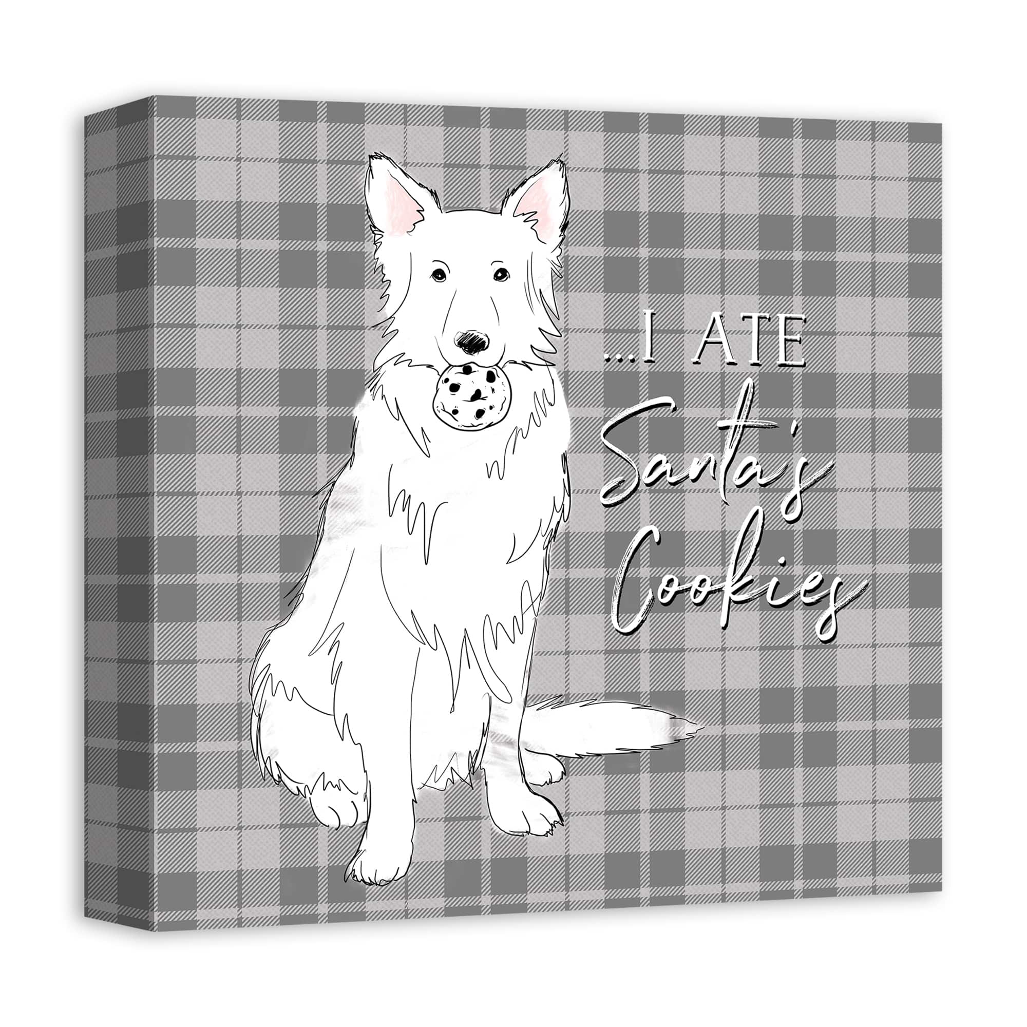 I Ate Santa's Cookies 12x12 Canvas Wall Art