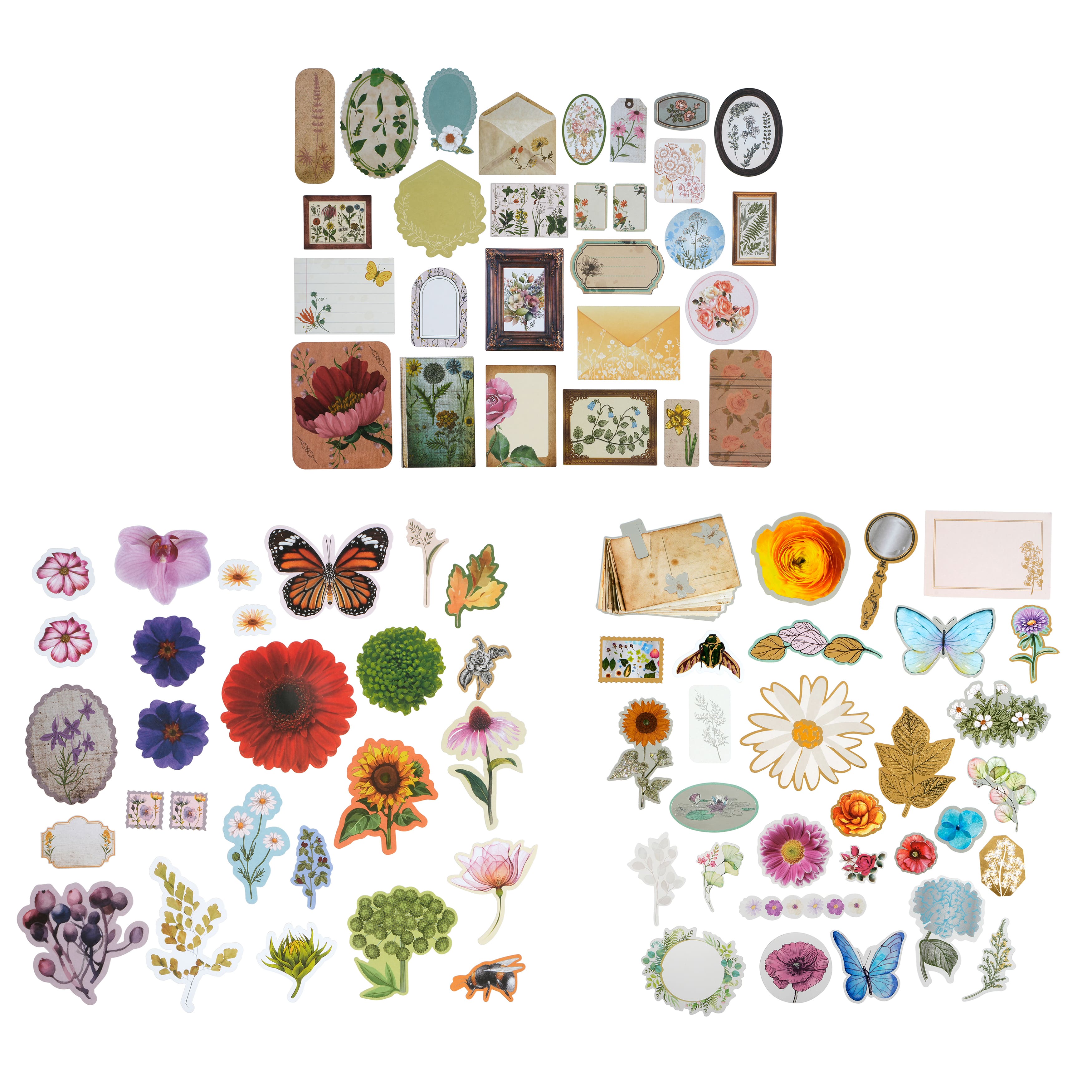 Flower &#x26; Plant Ephemera by Recollections&#x2122;