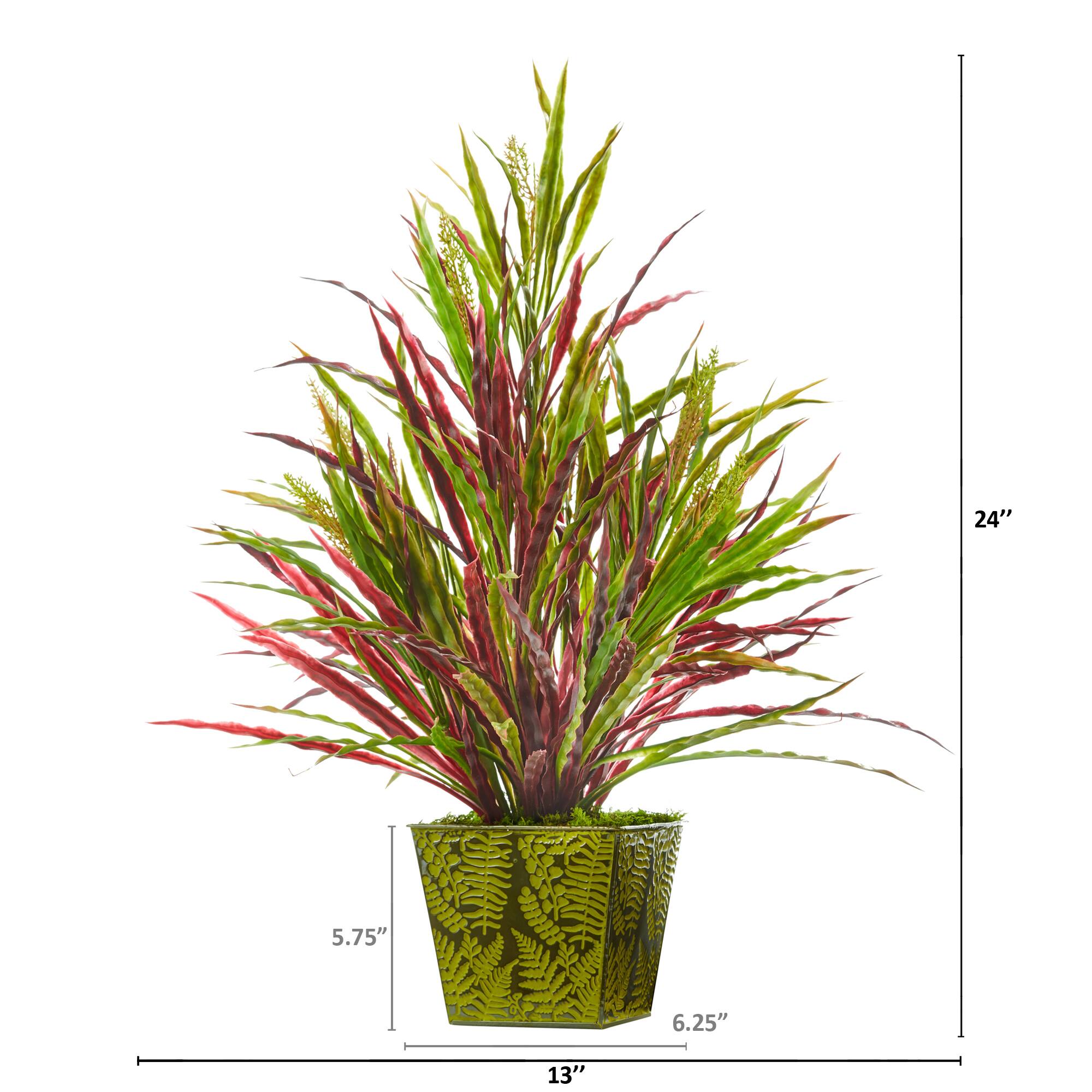24" Fall Vanilla Grass Plant in Green Planter