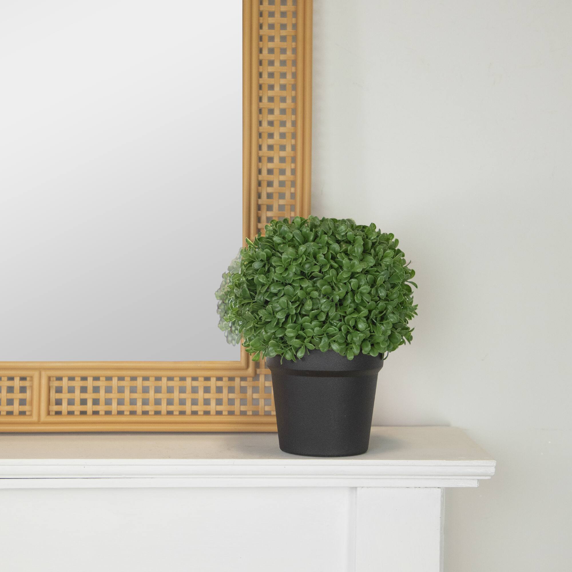 9.5&#x22; Artificial Boxwood Ball Topiary in Round Pot