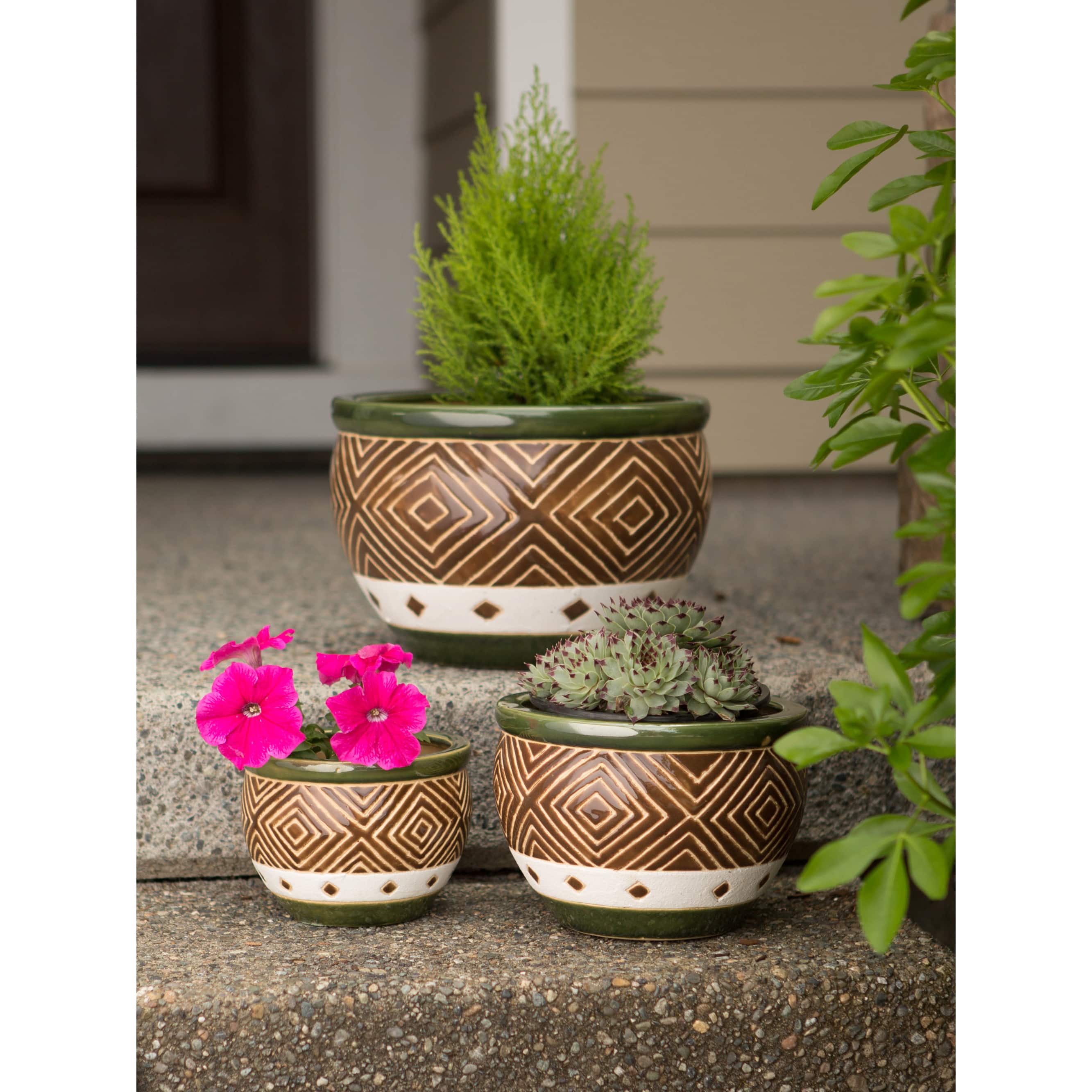 Green Jade Planter Set