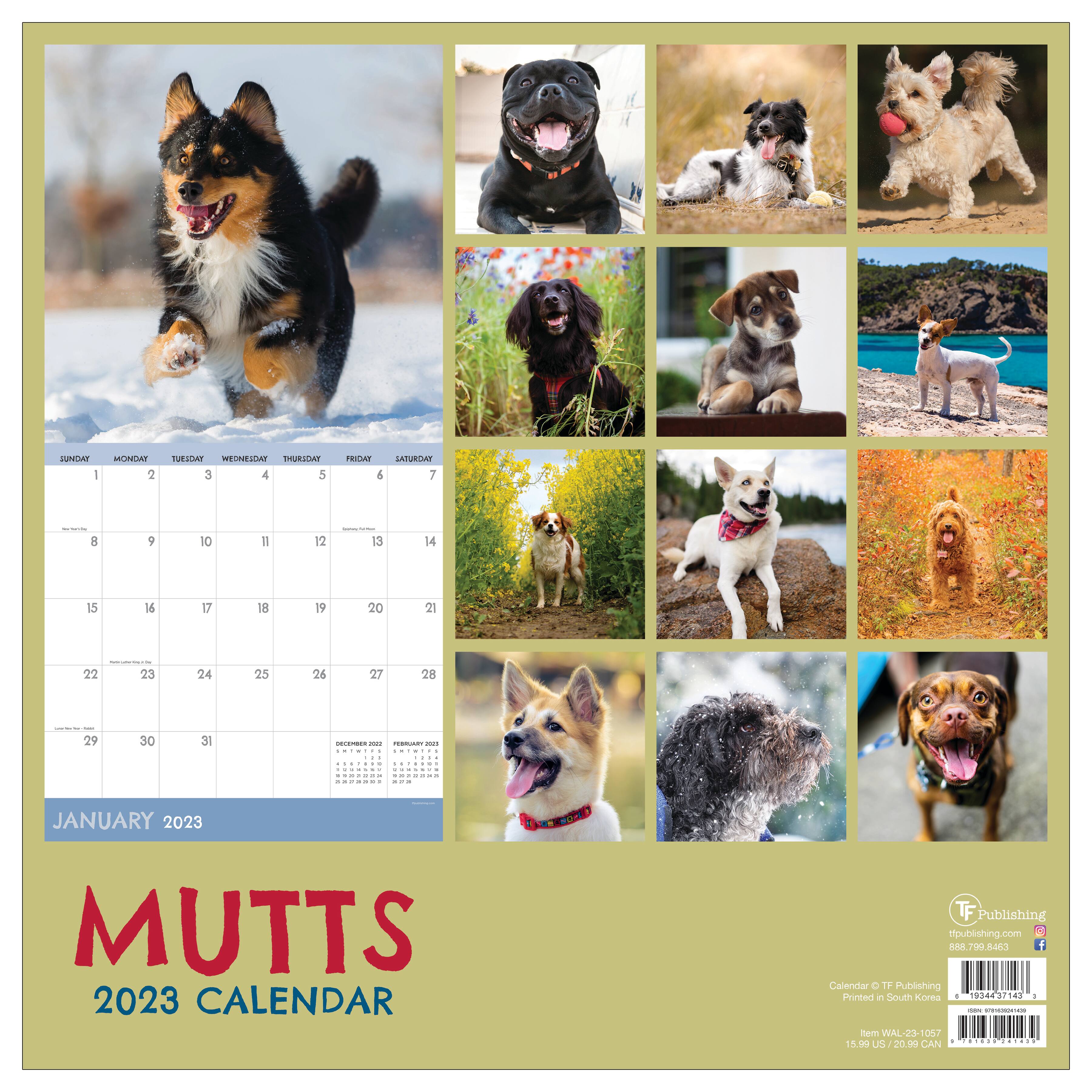 TF Publishing 2023 Mutts Wall Calendar | Wall Calendars | Michaels