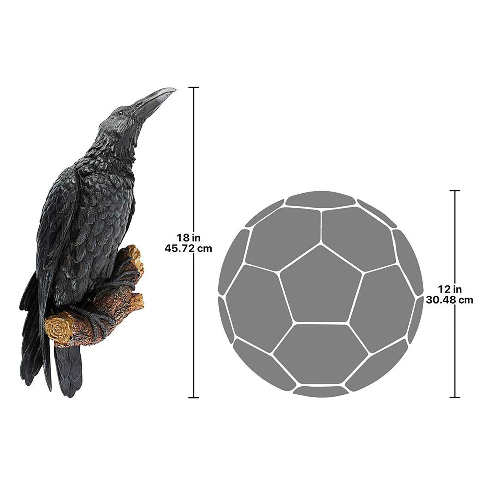 Design Toscano 18" The Raven's Perch Wall Sculpture Set