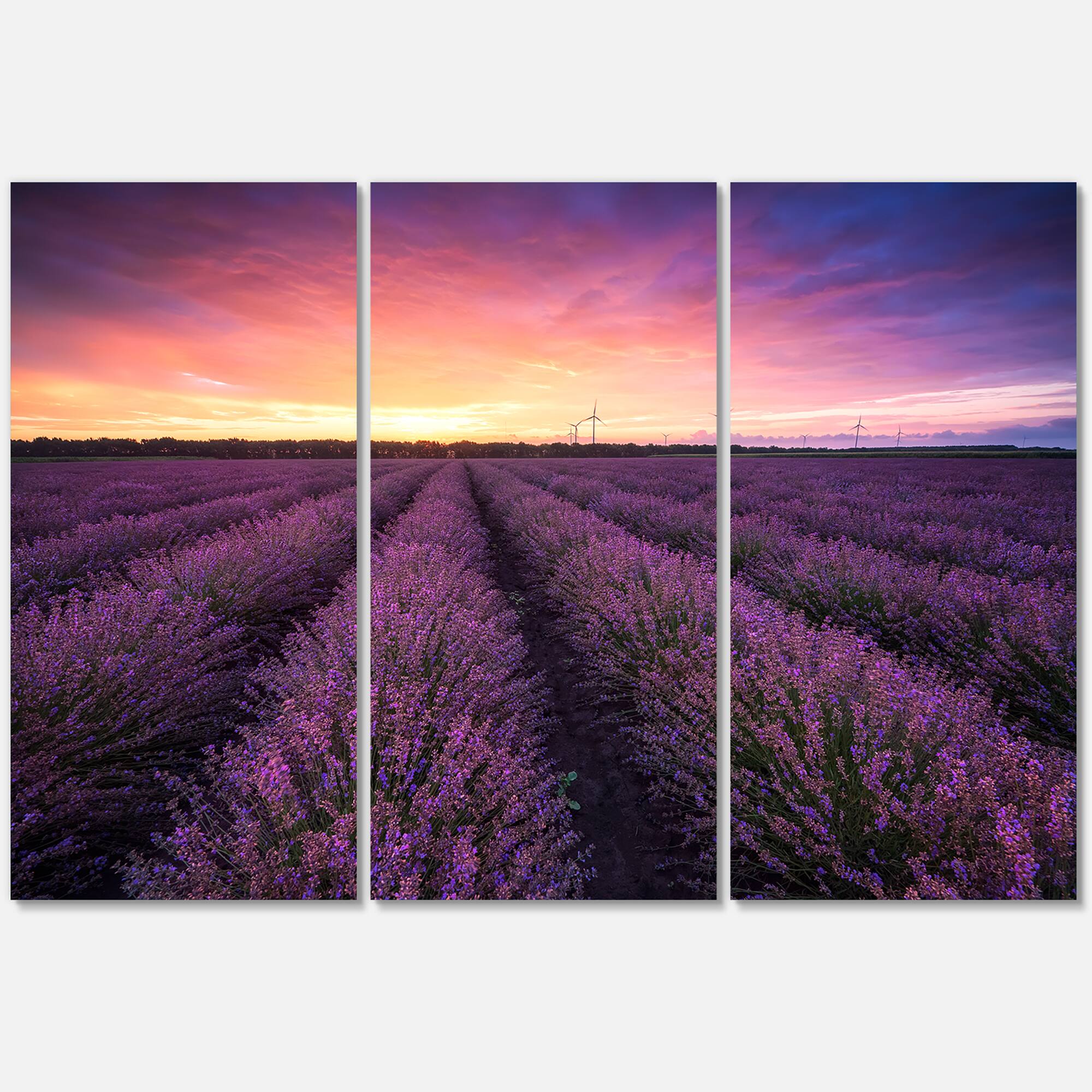 Designart - Sunrise & Dramatic Clouds Over Lavender Field XIII