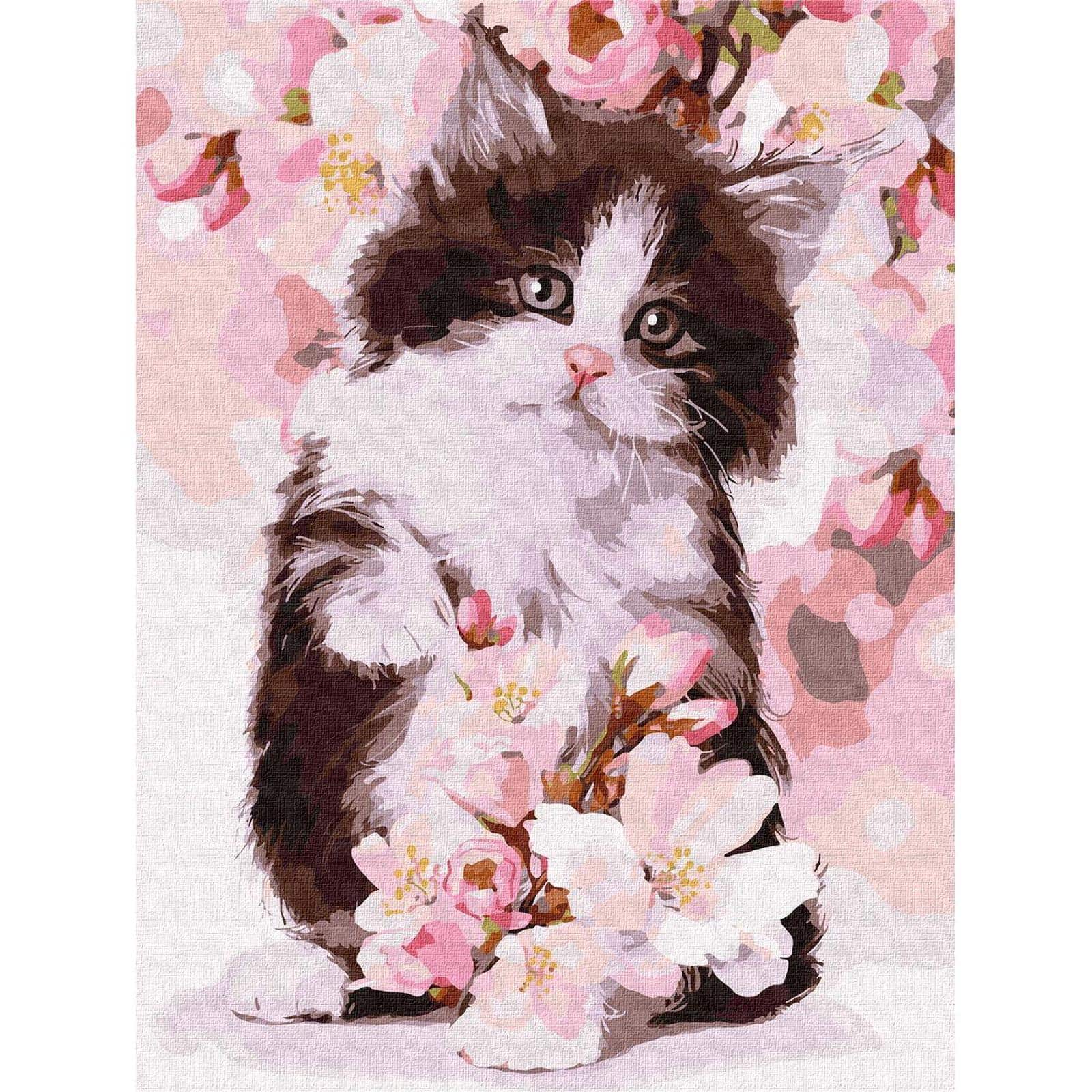 Ideyka Fluffy Kitten Painting by Numbers Kit
