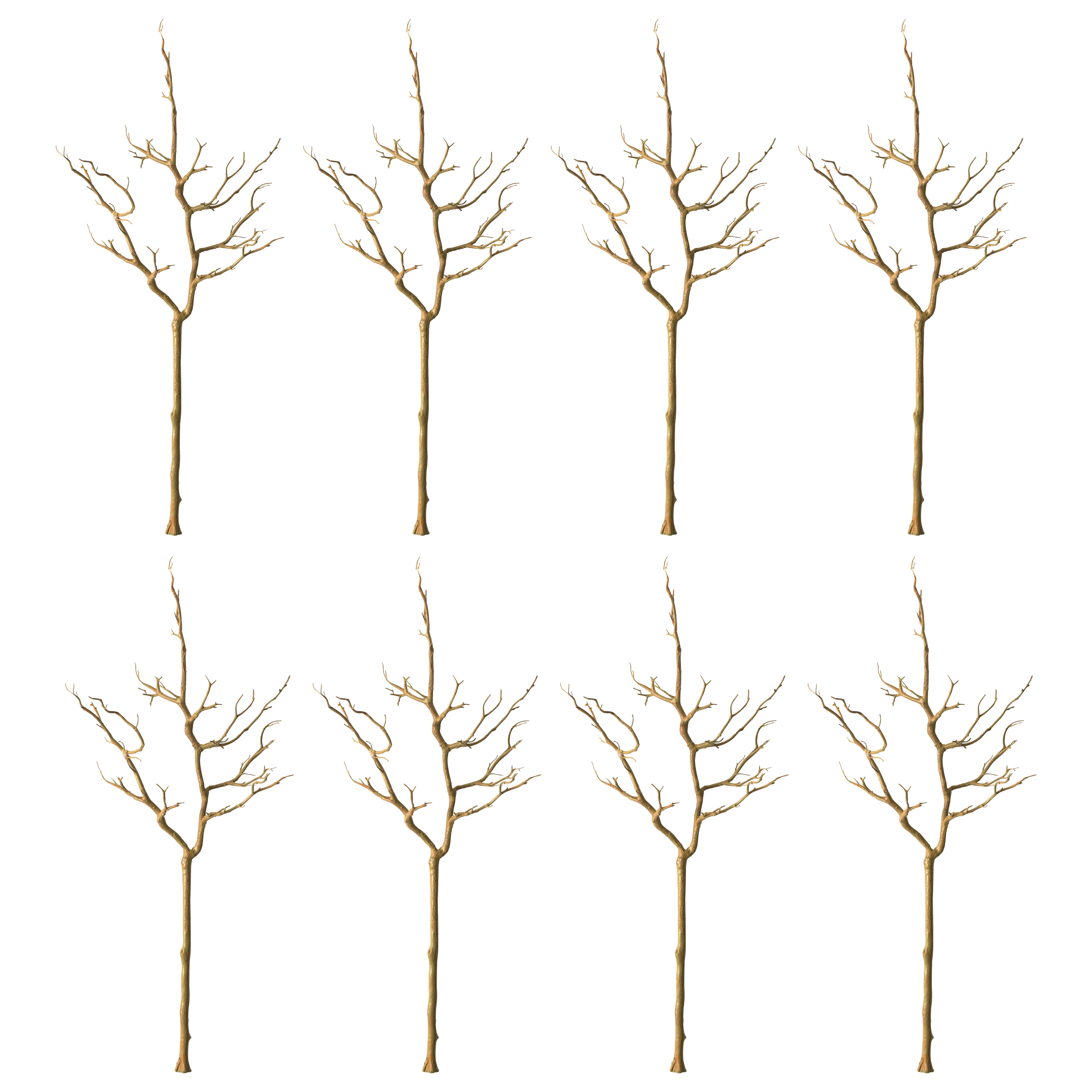 8 Pack: Brown Bare Birch Branch by Ashland®