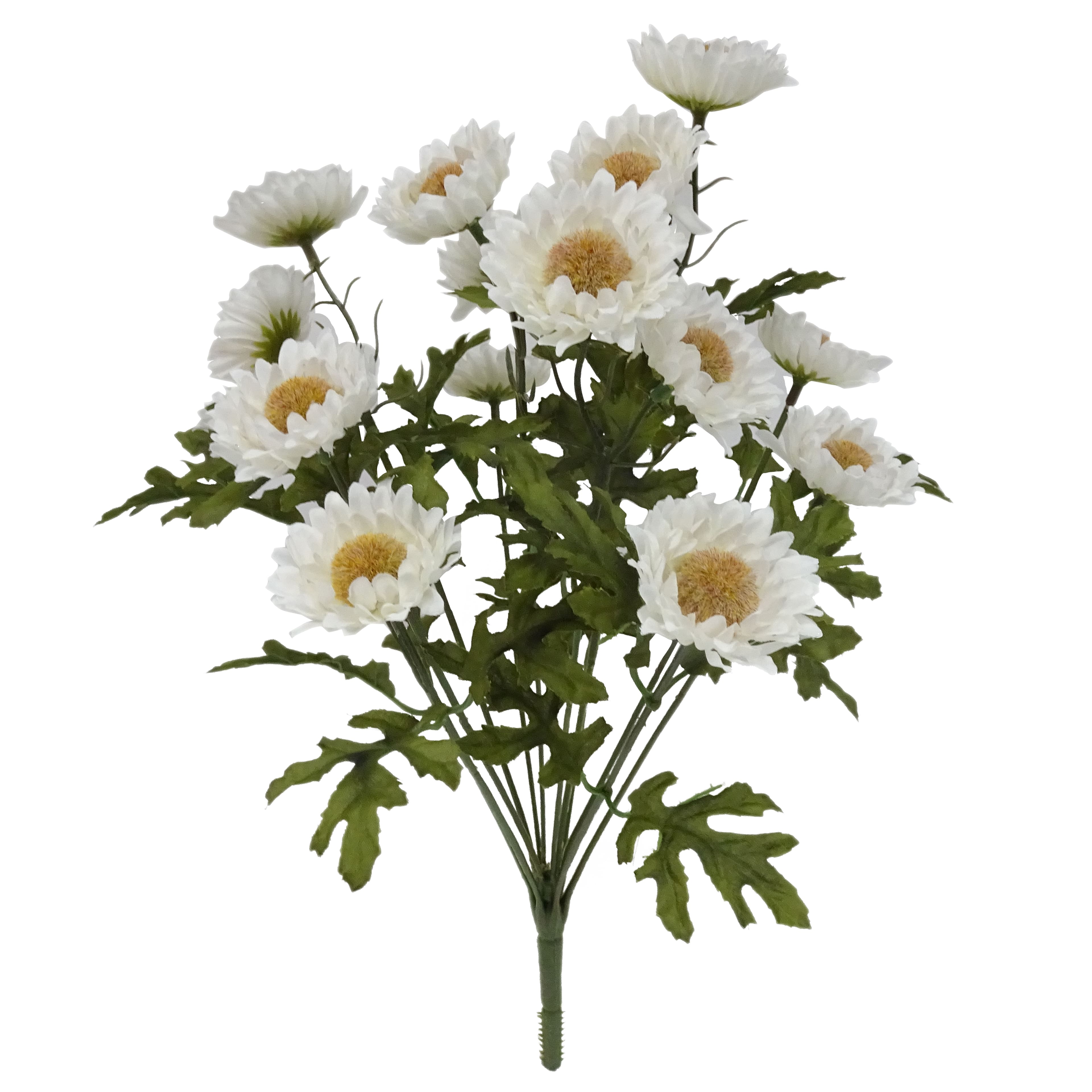 16&#x22; Cream Strawflower Bush by Ashland&#xAE;