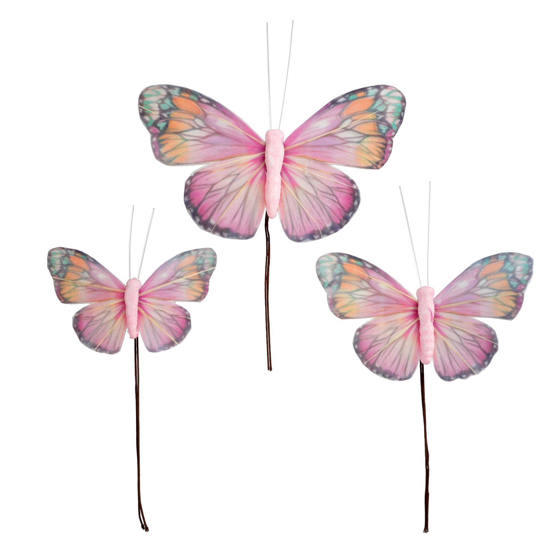 Decorative Feather Butterflies, 3ct. by Ashland&#xAE;