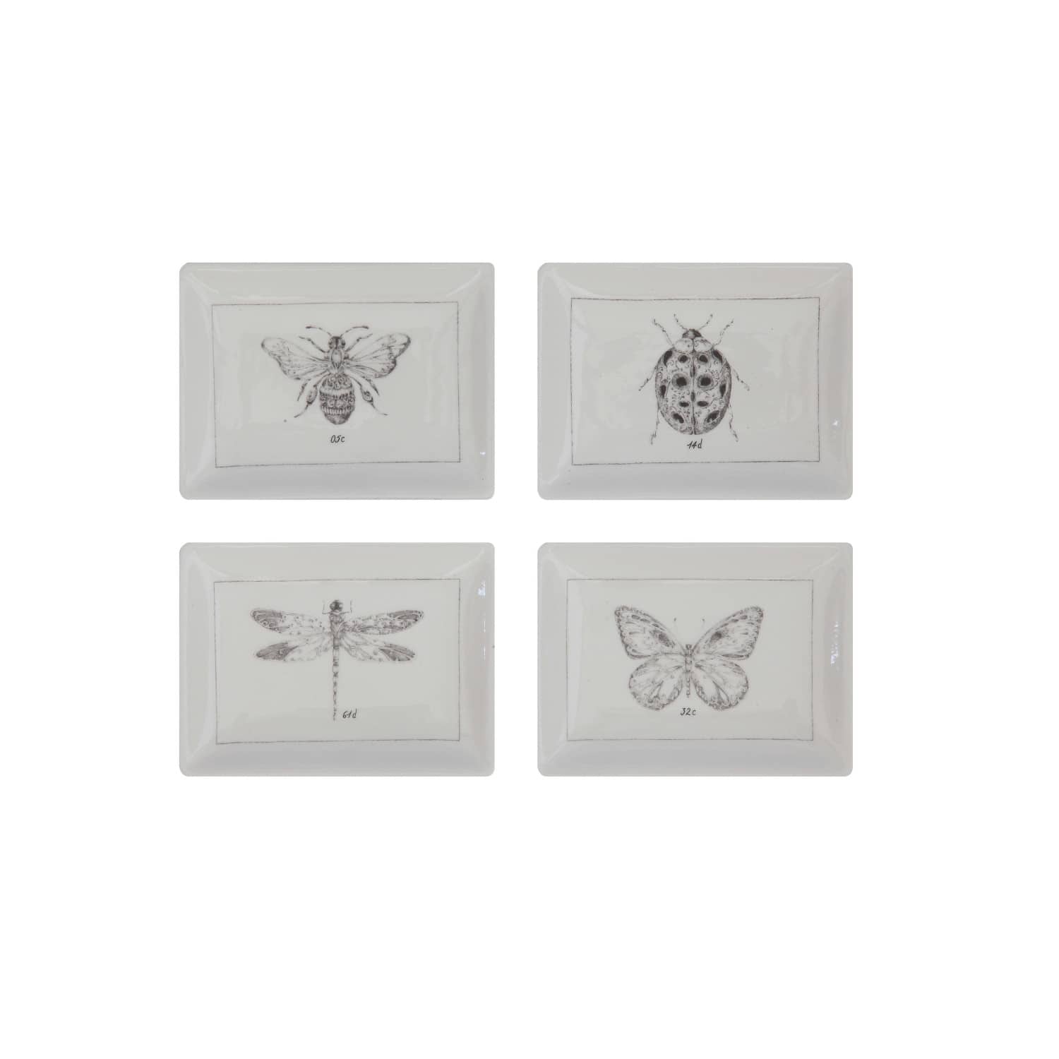 Hello Honey® 4" x 3" Rectangle Ceramic Dishes with Insect Images Set
