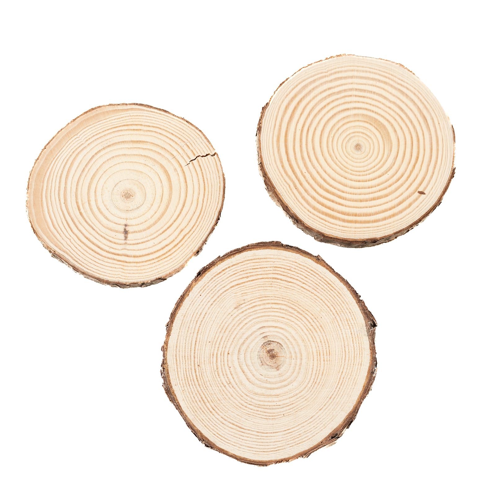 Lemonfilter Natural Wood Slices 8 Pcs 6.3-6.7 Inches Craft Wood